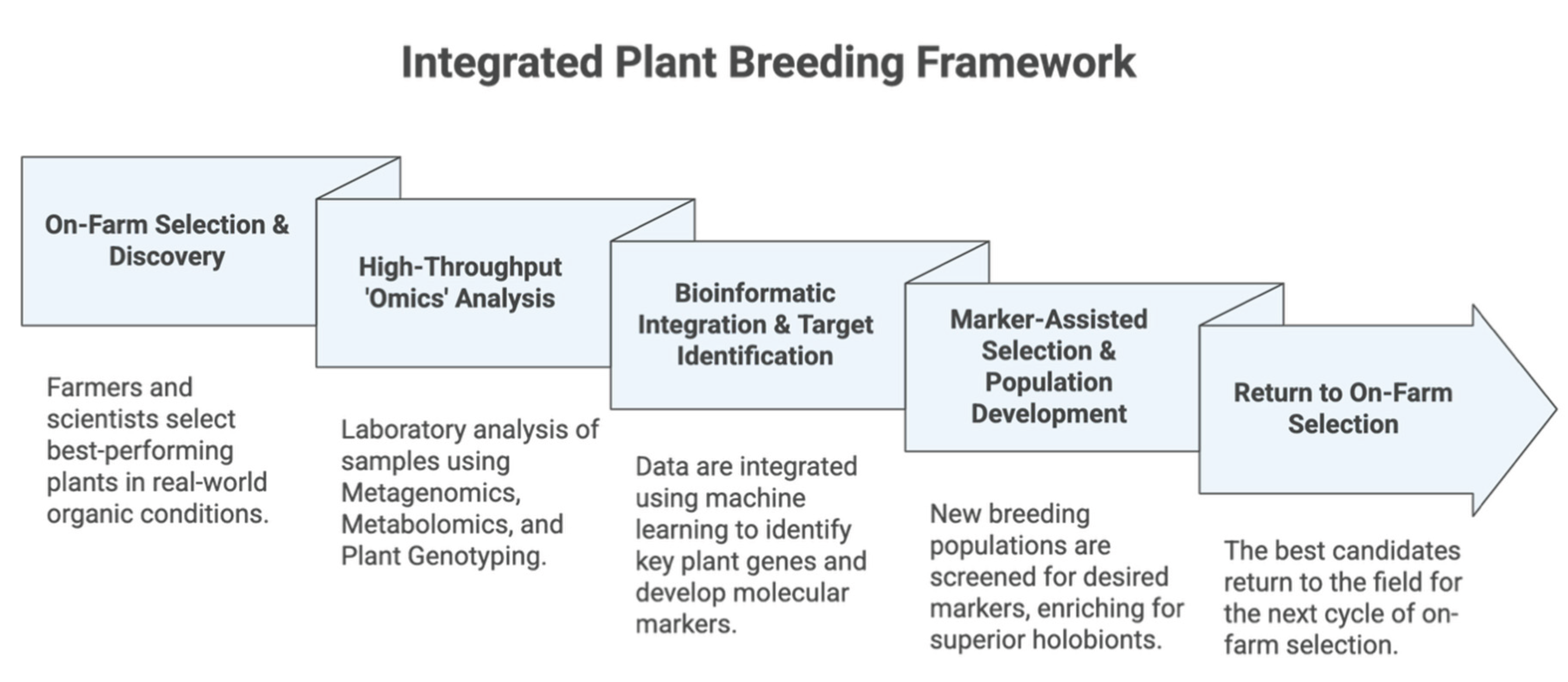 Preprints 180529 g003