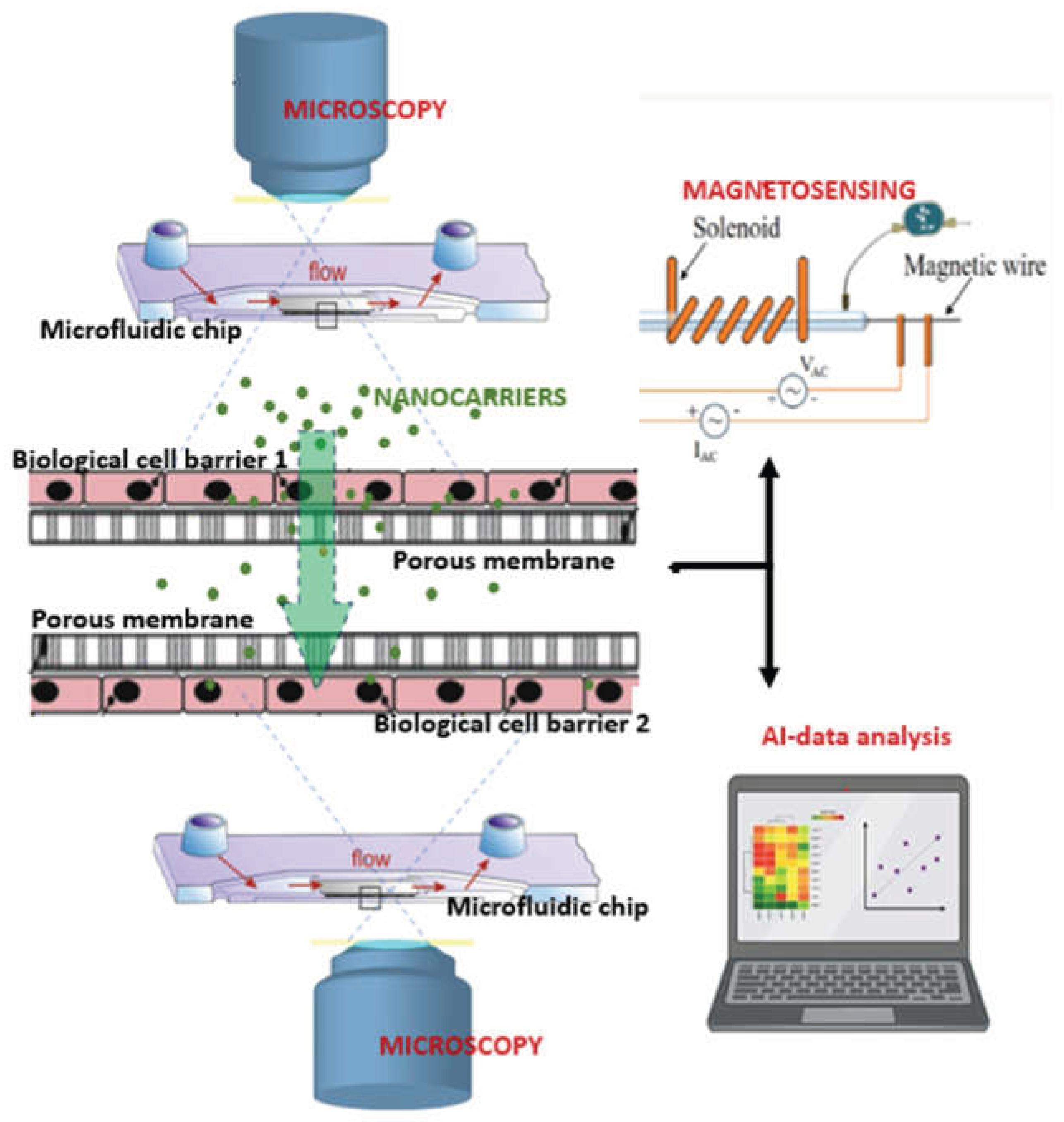Preprints 223114 g001
