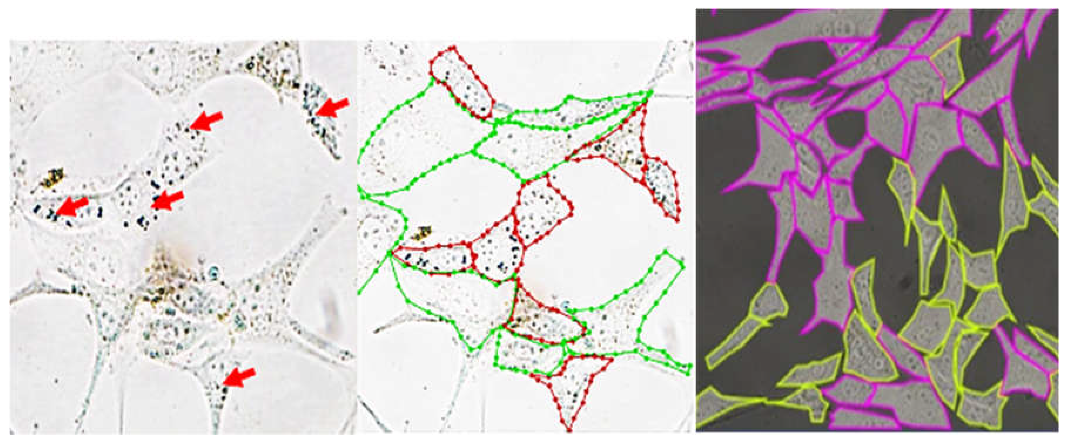 Preprints 223114 g002
