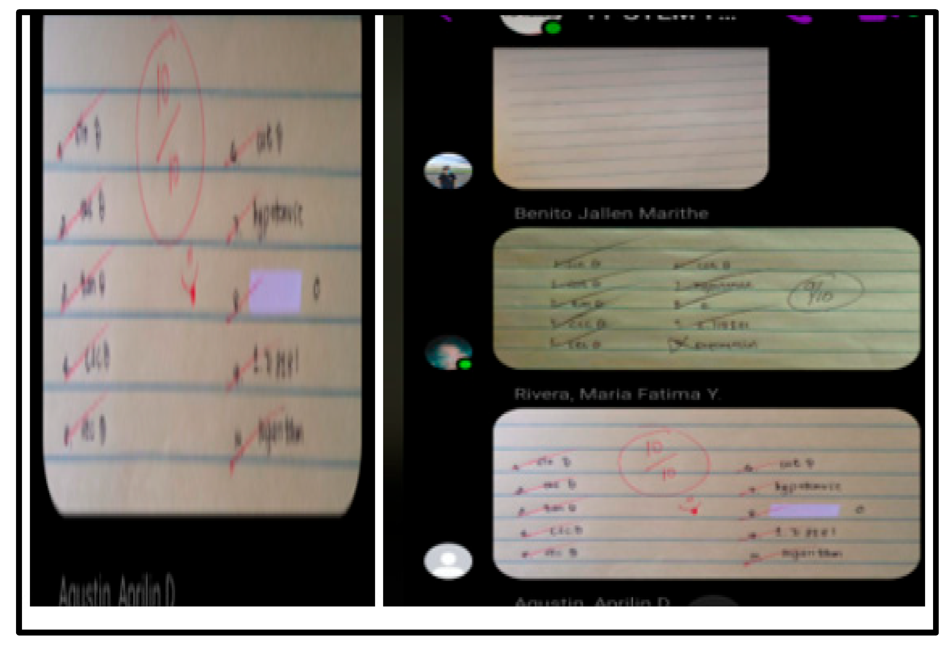 Preprints 144172 g003