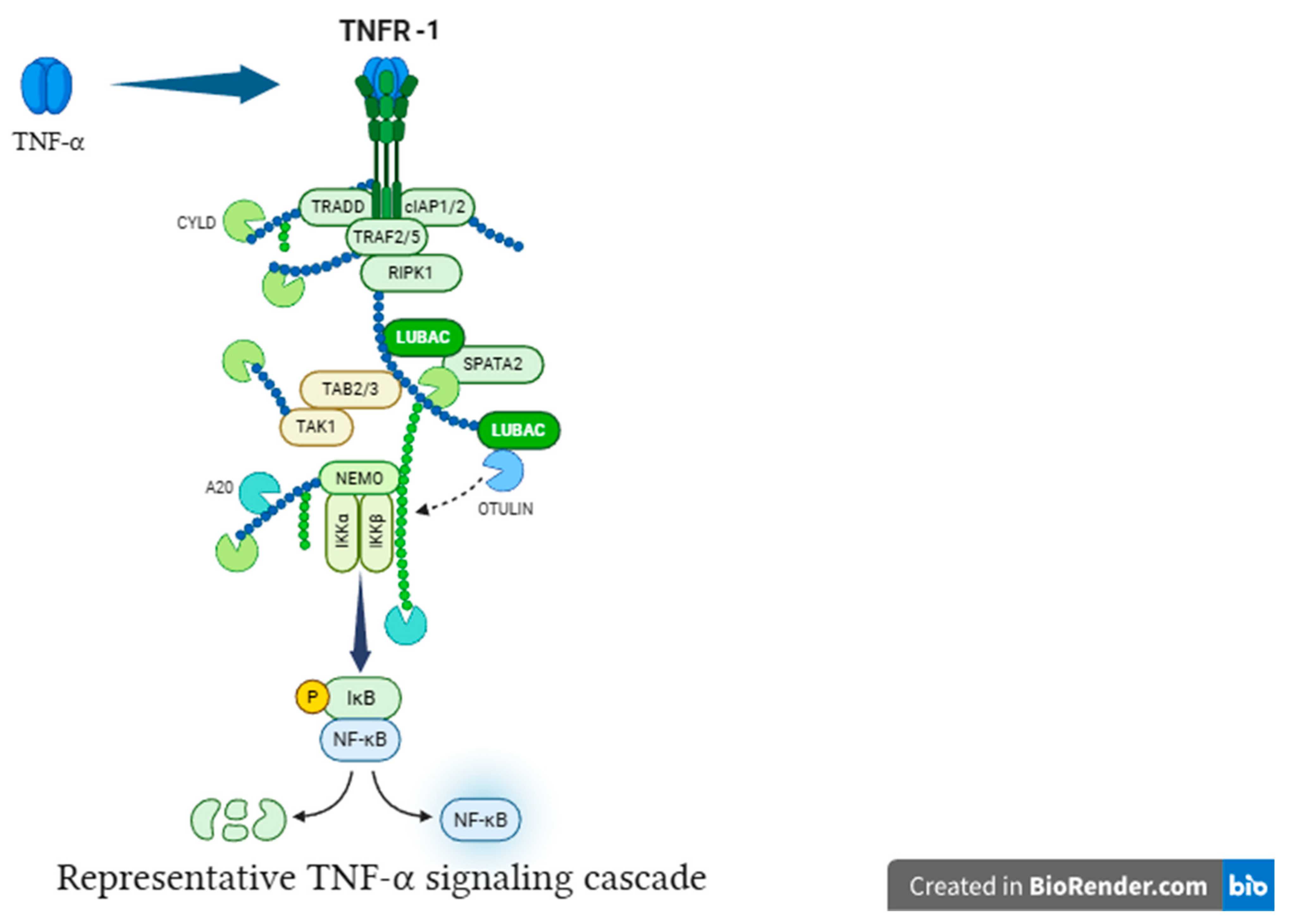 Preprints 190409 g003