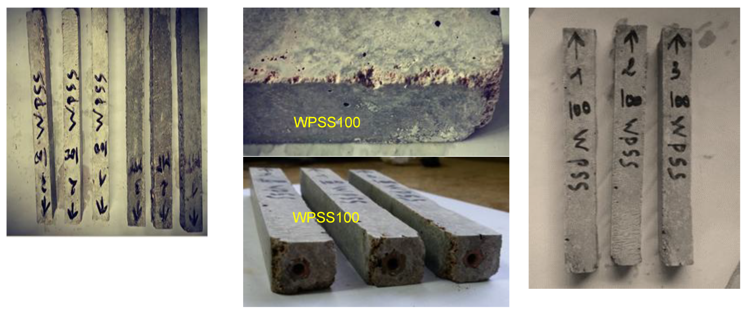 Preprints 165135 g023