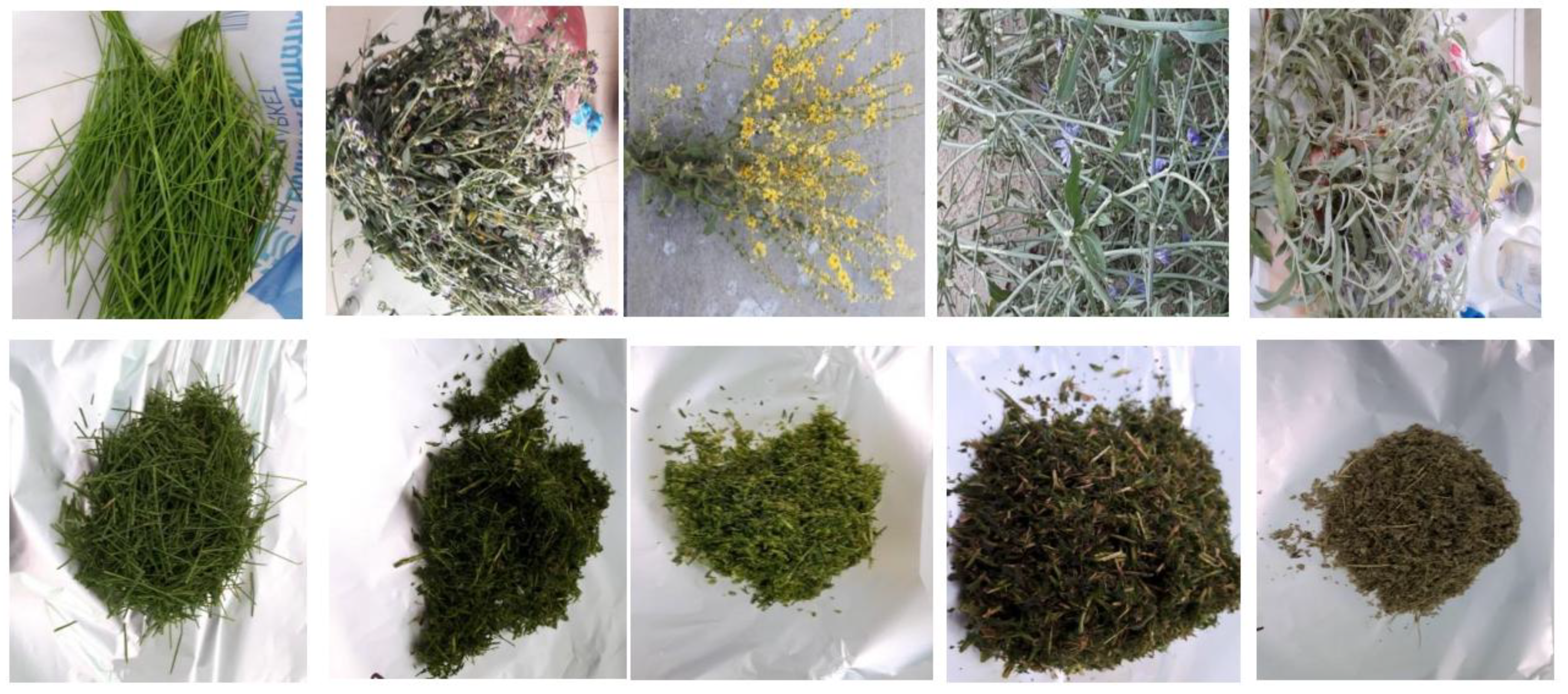 Preprints 171554 g002