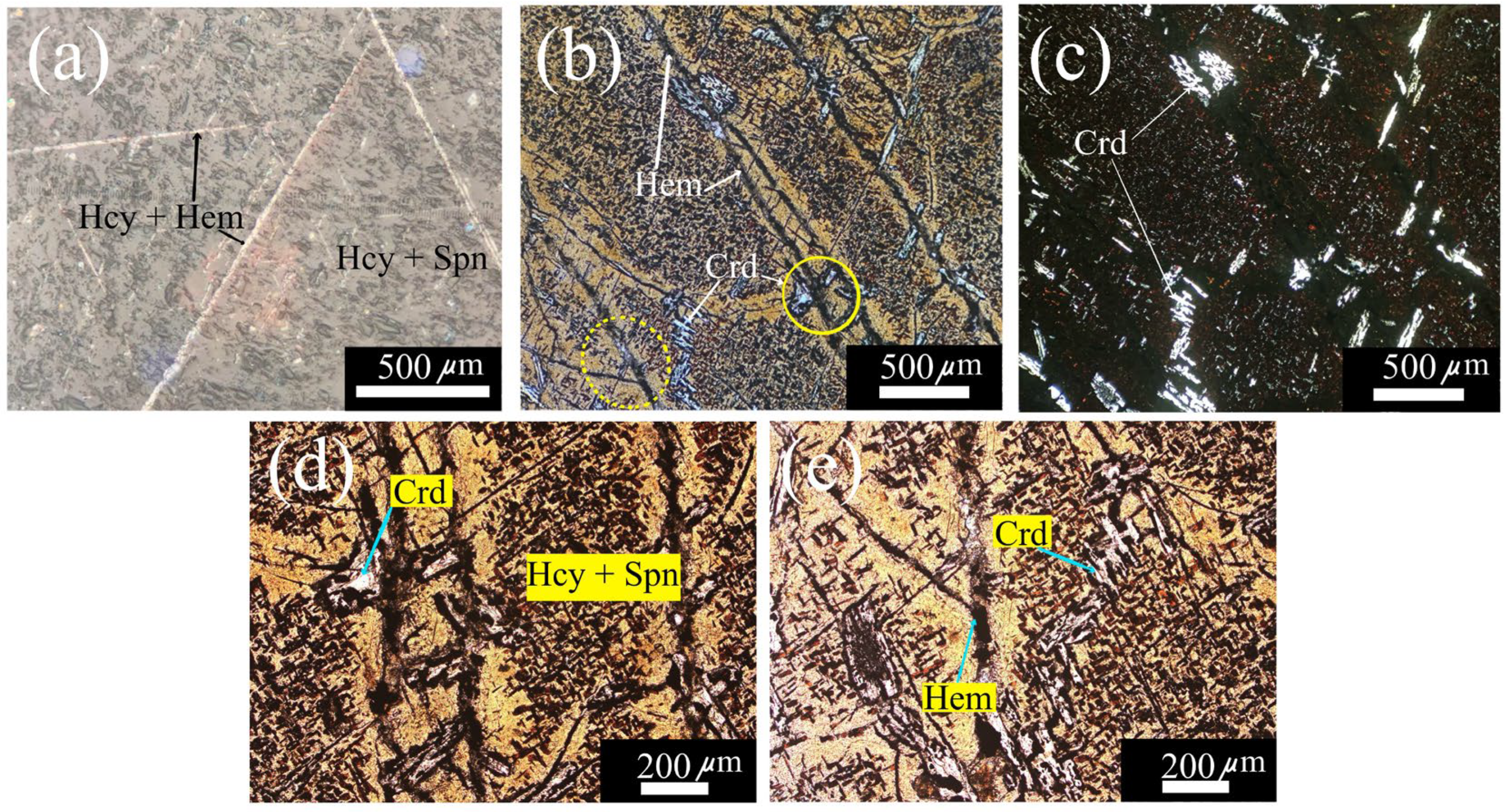 Preprints 112967 g002