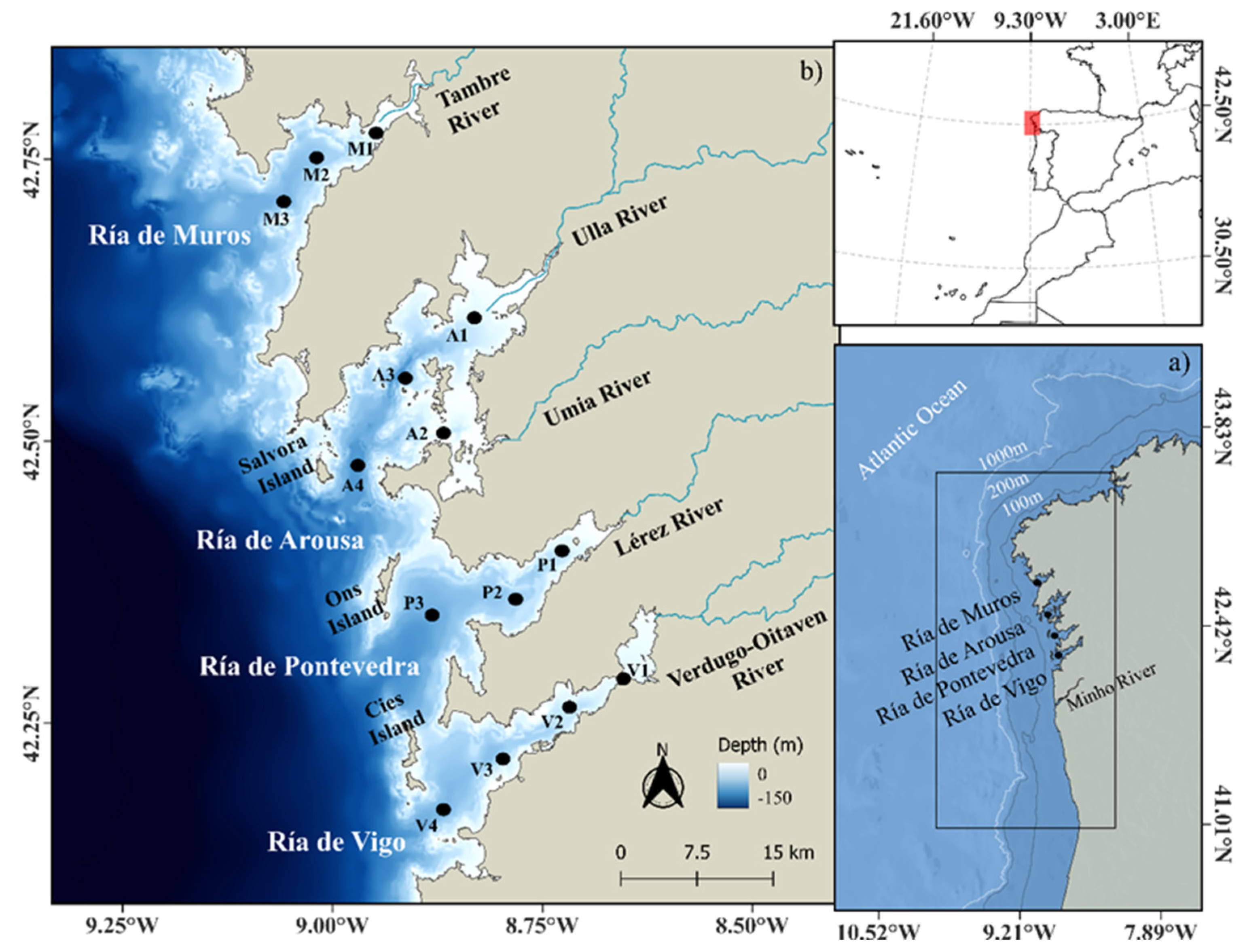 Preprints 138864 g001