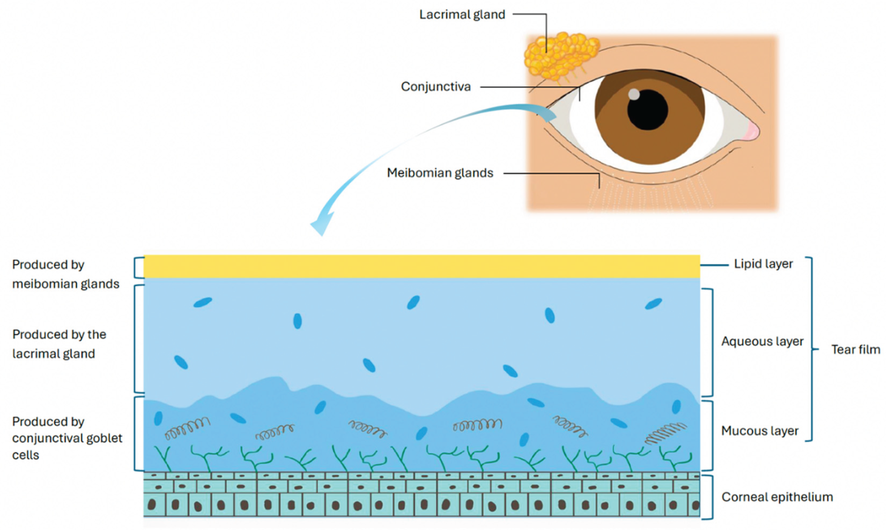 Preprints 174663 g001