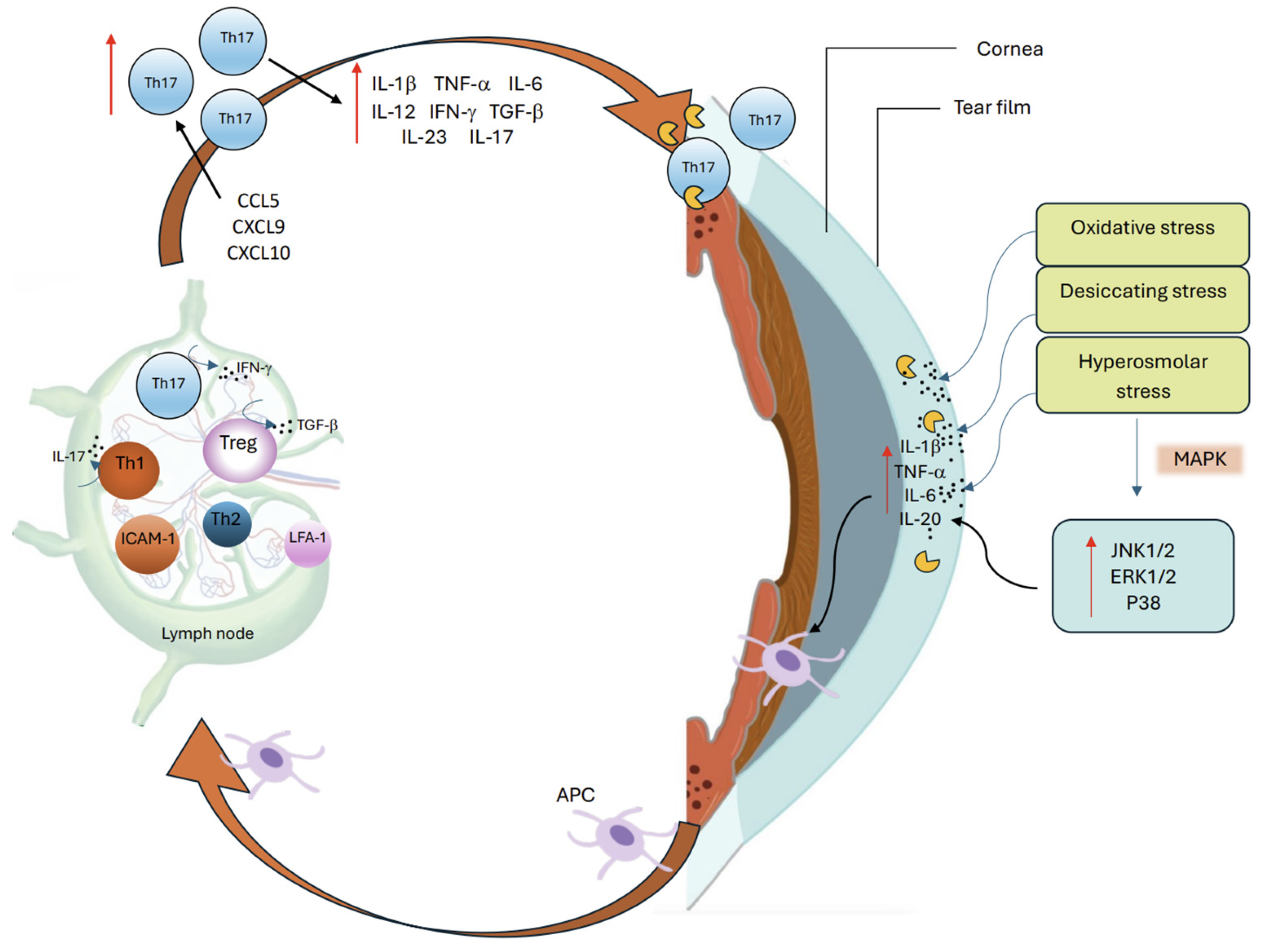 Preprints 174663 g002