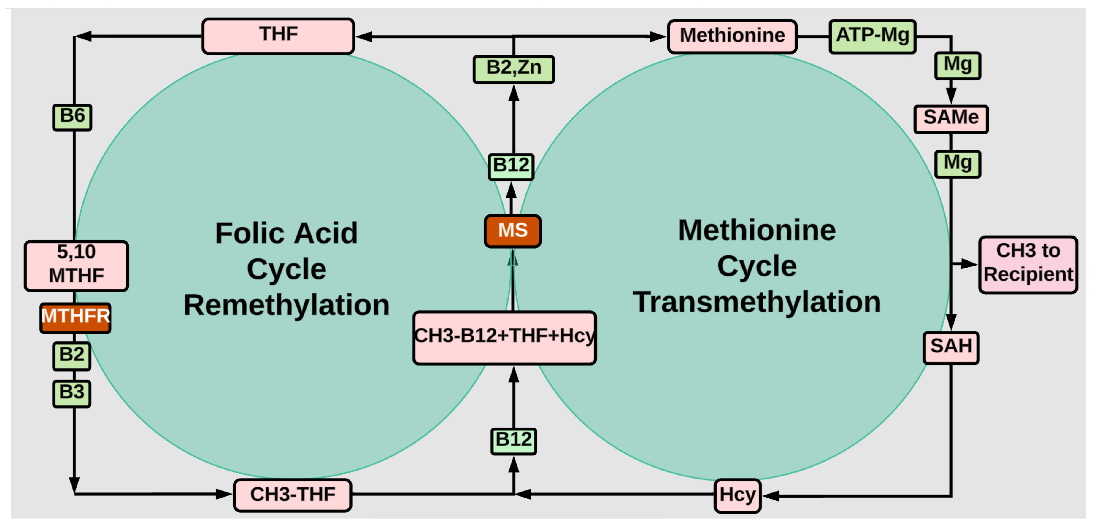 Preprints 137631 g003