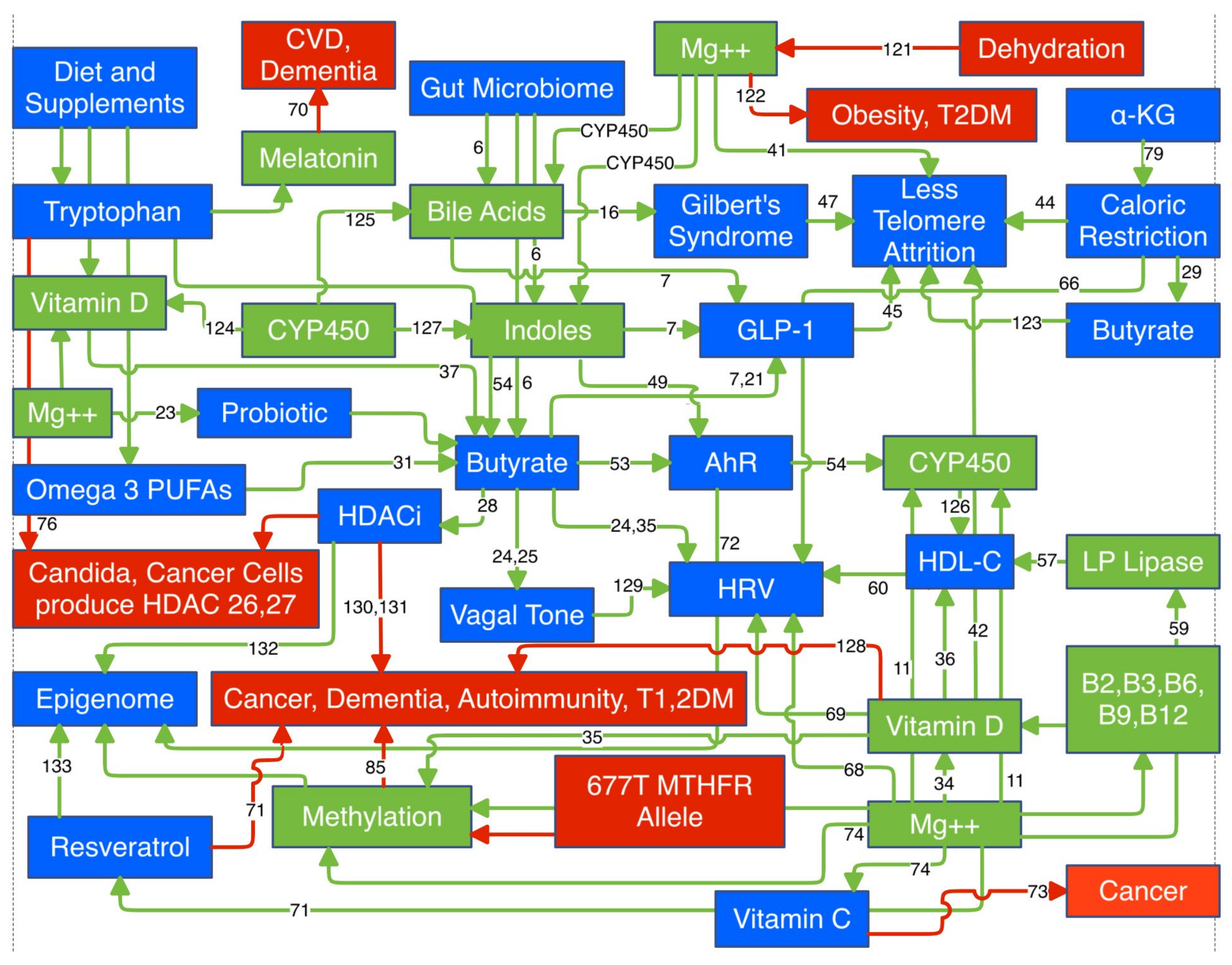 Preprints 137631 g004