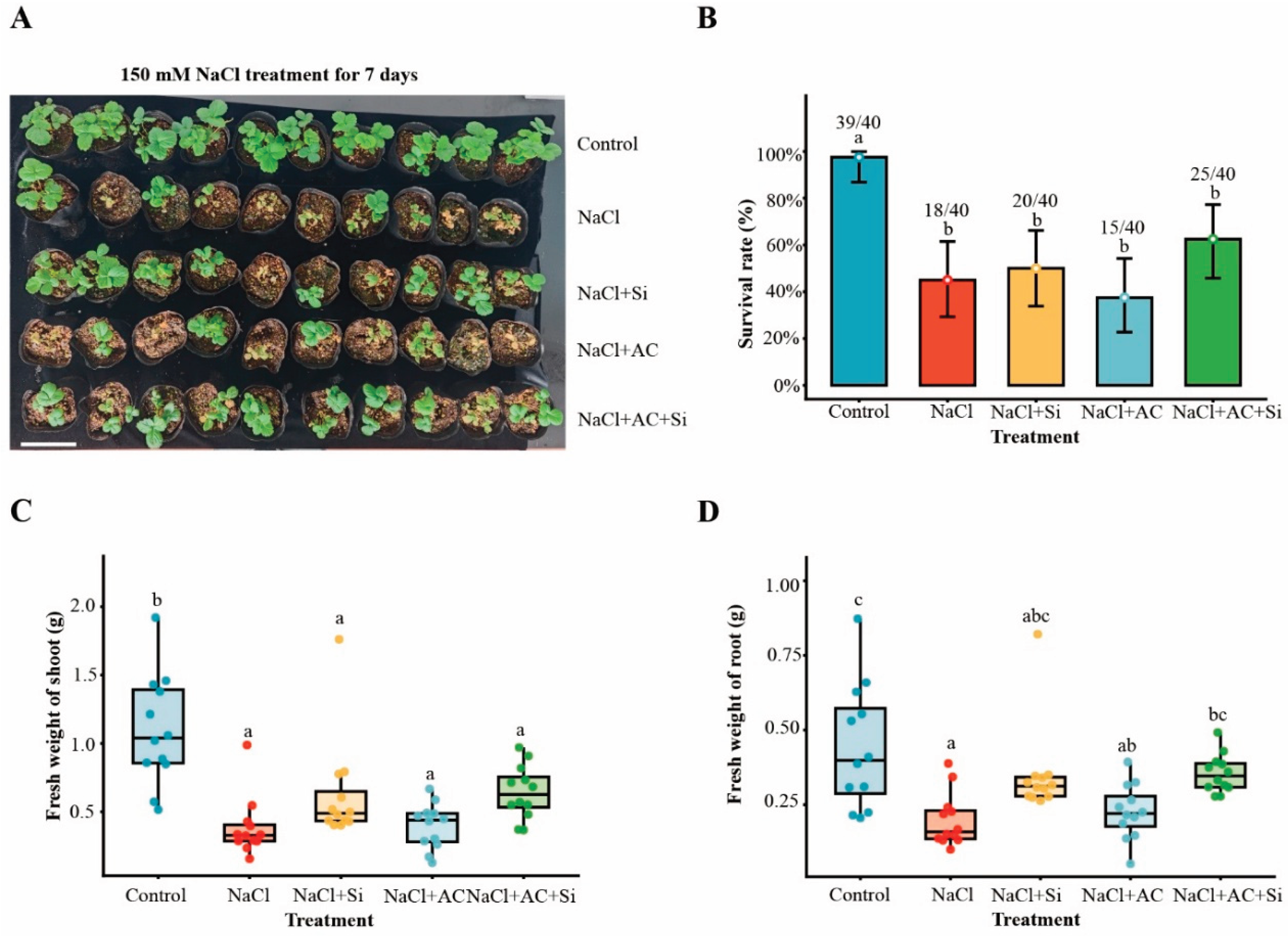 Preprints 200432 g001 Preprints 200432 g001