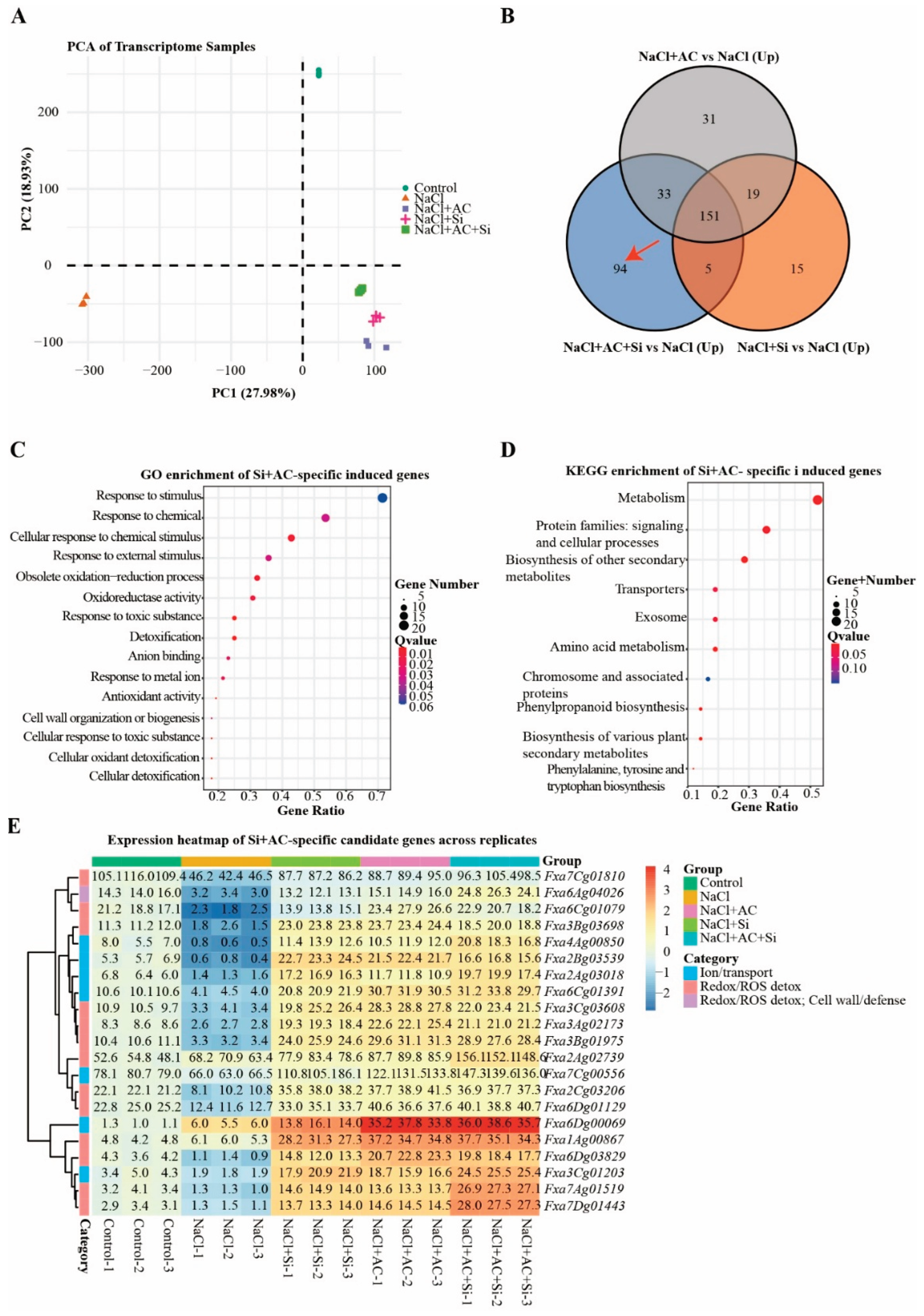 Preprints 200432 g005 Preprints 200432 g005