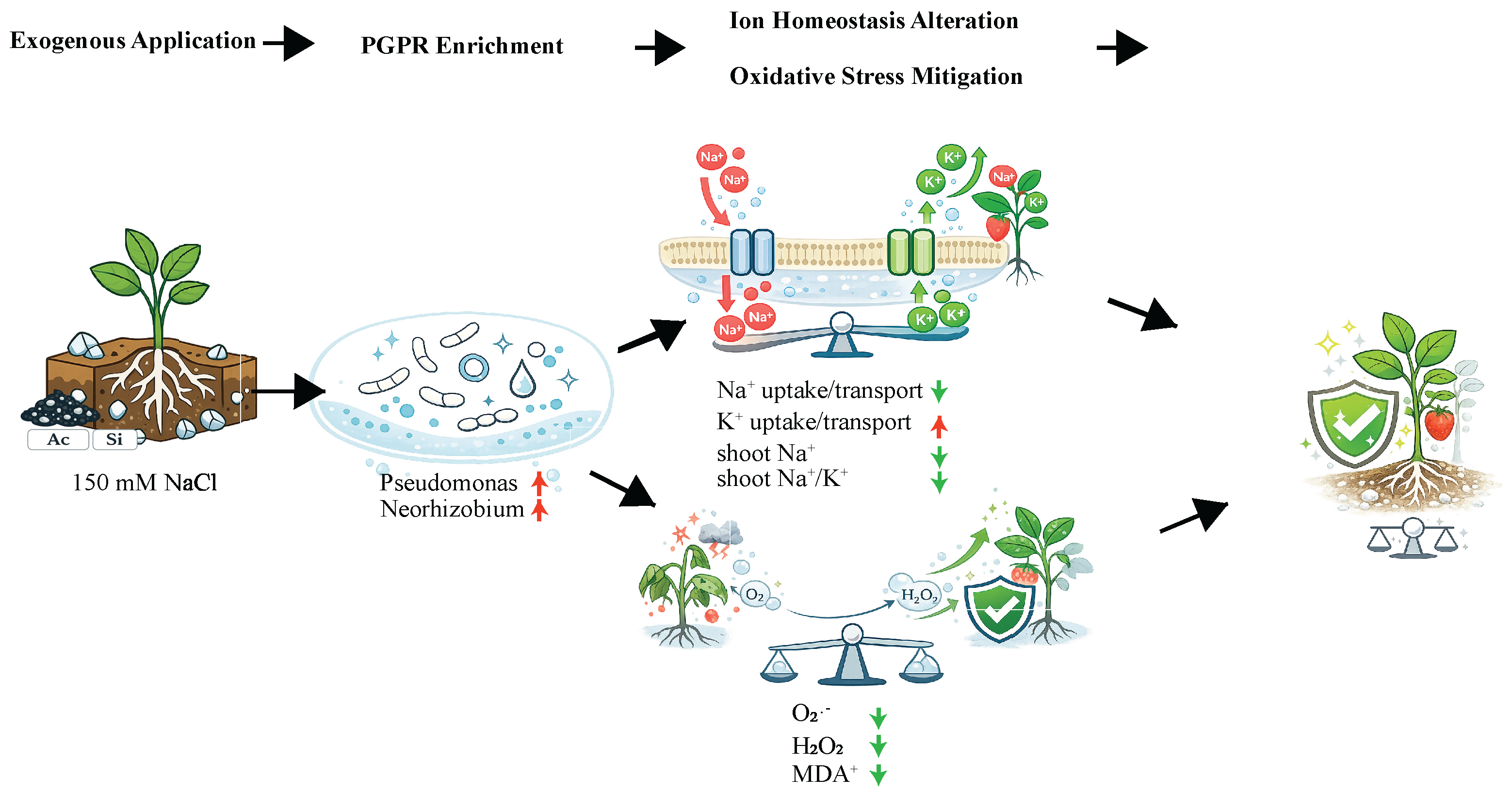 Preprints 200432 g006 Preprints 200432 g006