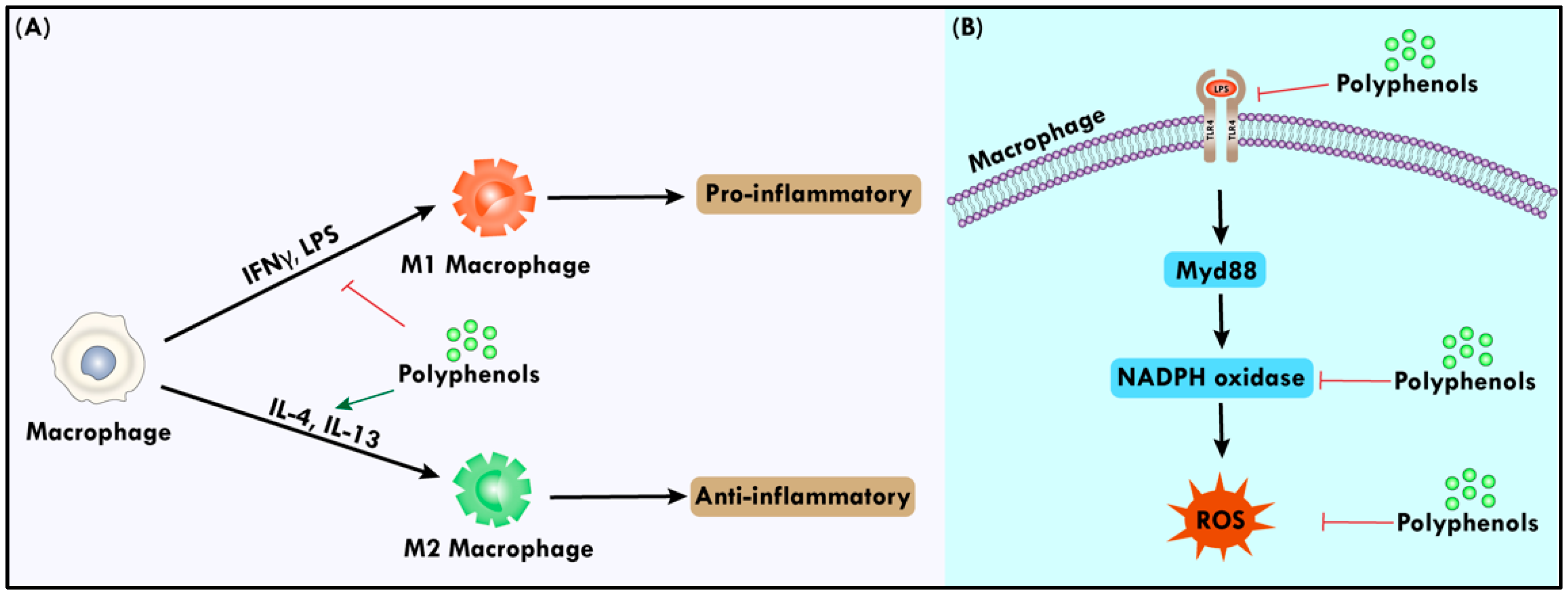 Preprints 96052 g003