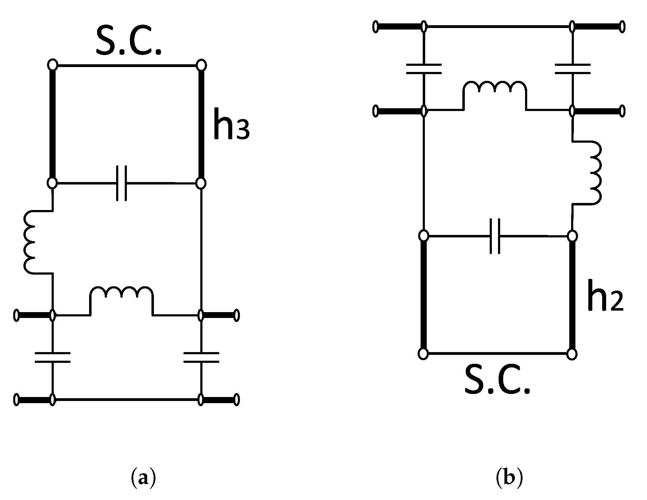 Preprints 156488 g0a1