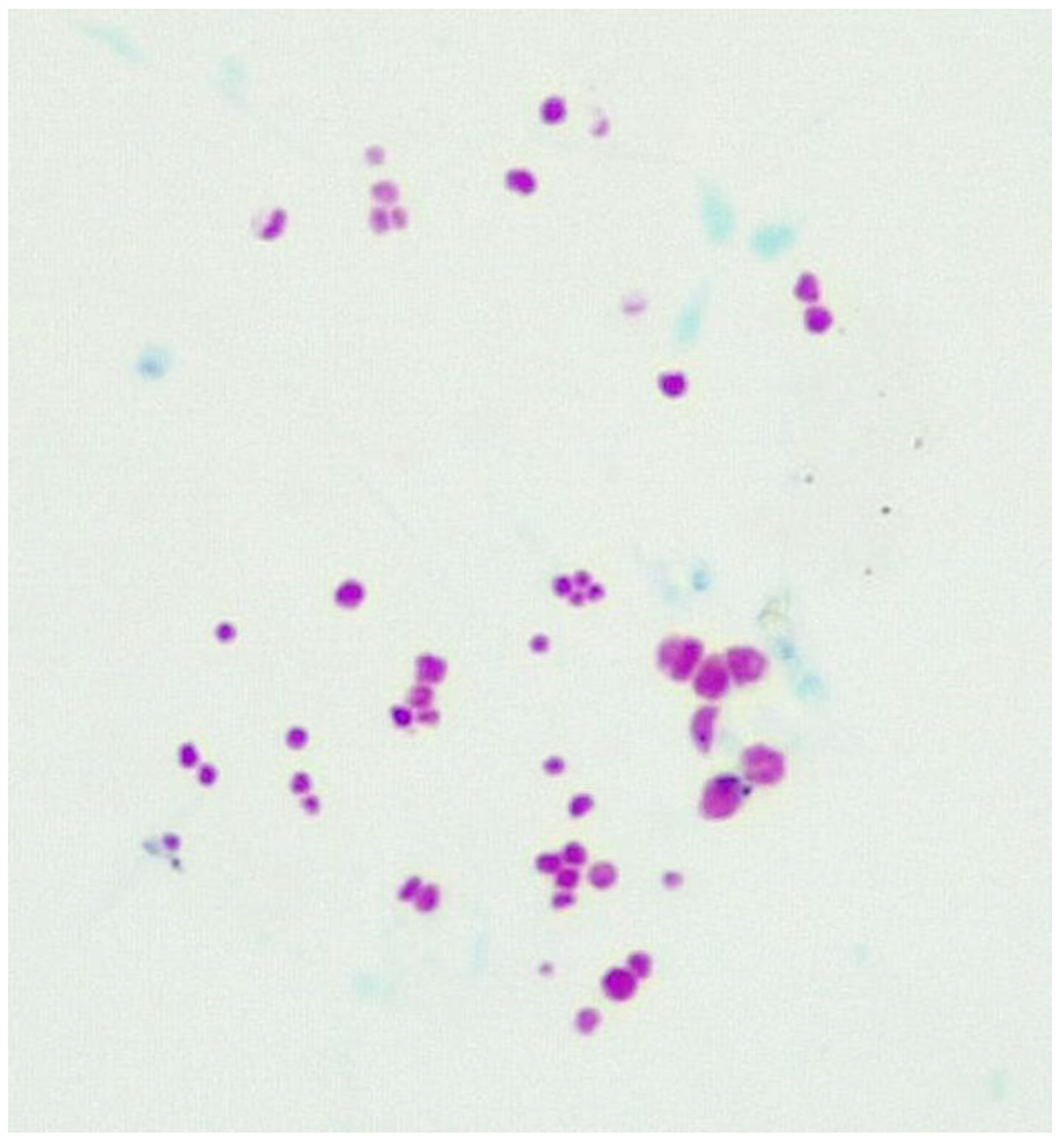 Preprints 79416 g003