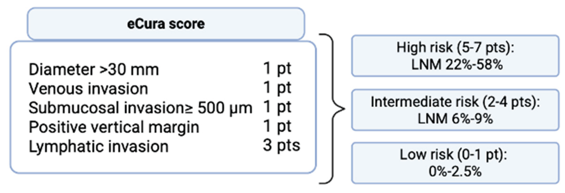 Preprints 217517 g004