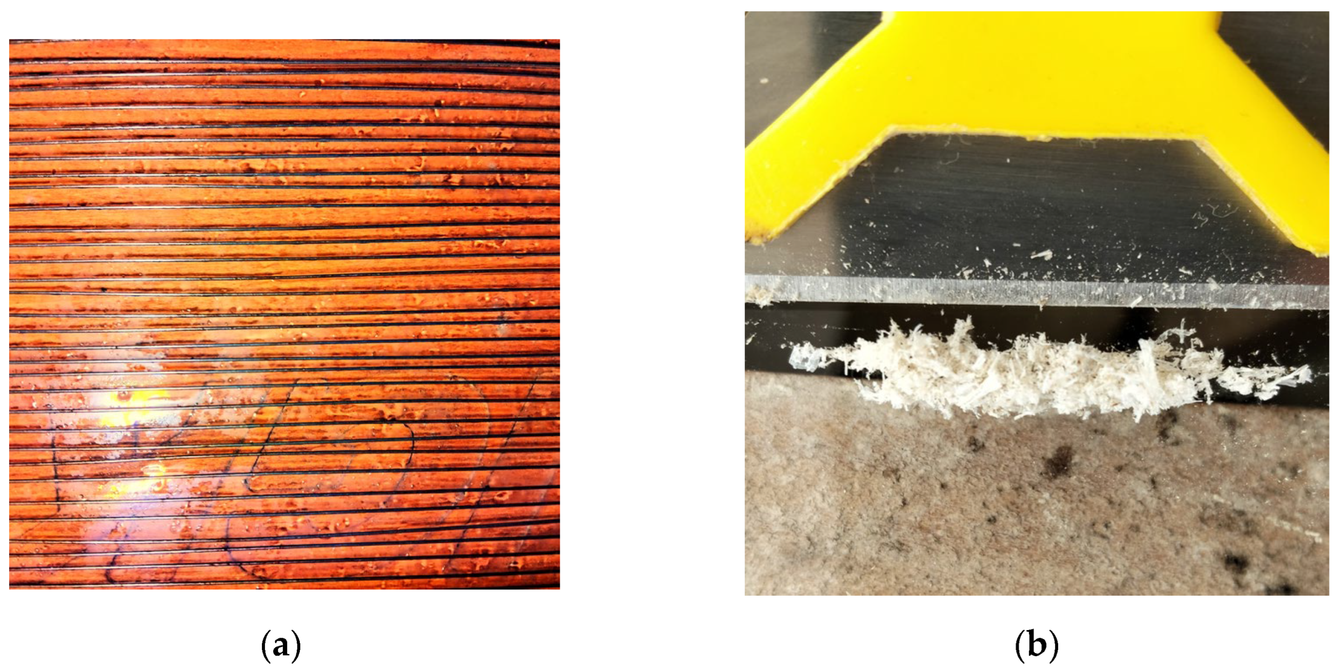 Preprints 142262 g003