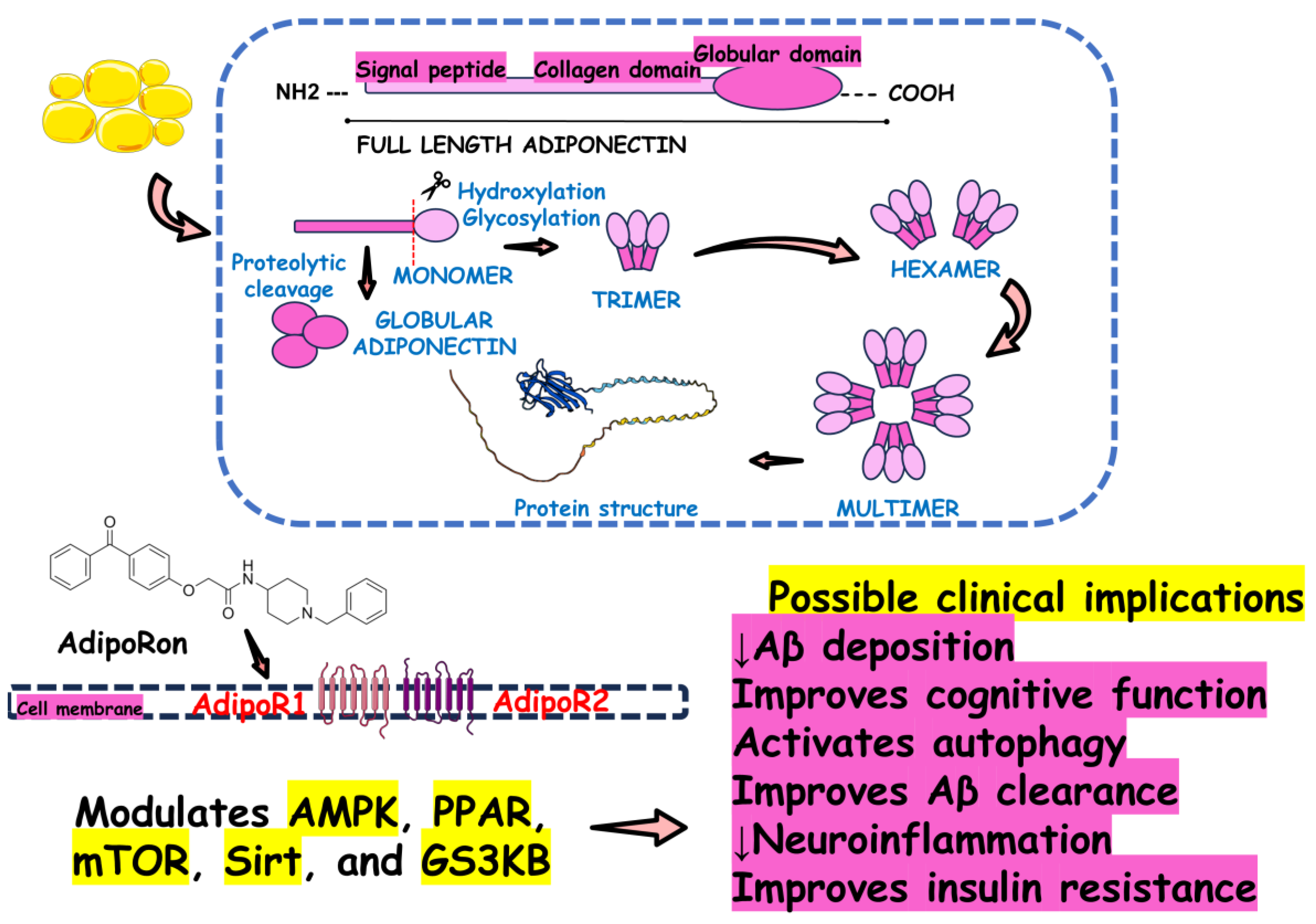 Preprints 144478 g010