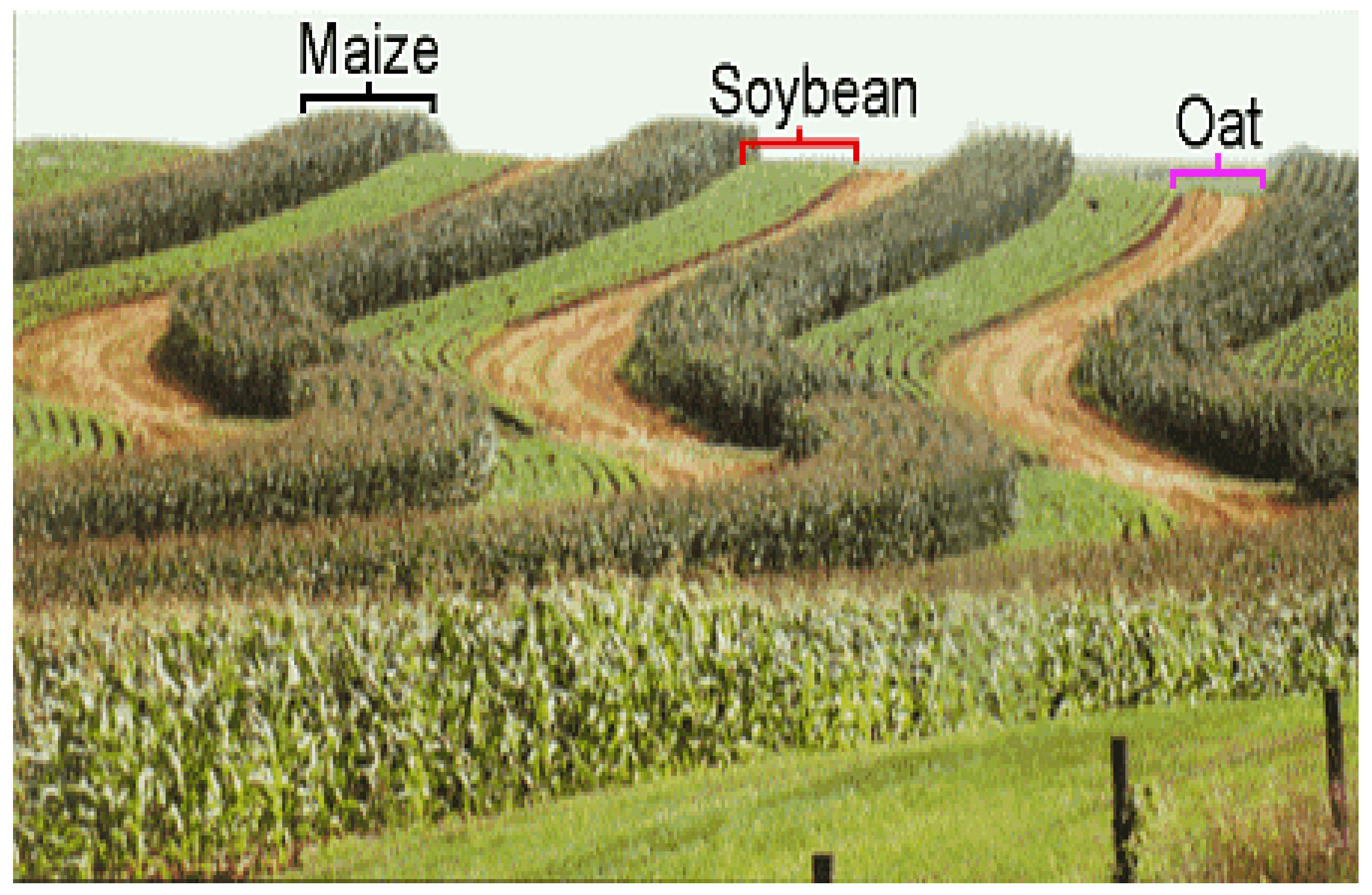 Preprints 148260 g001