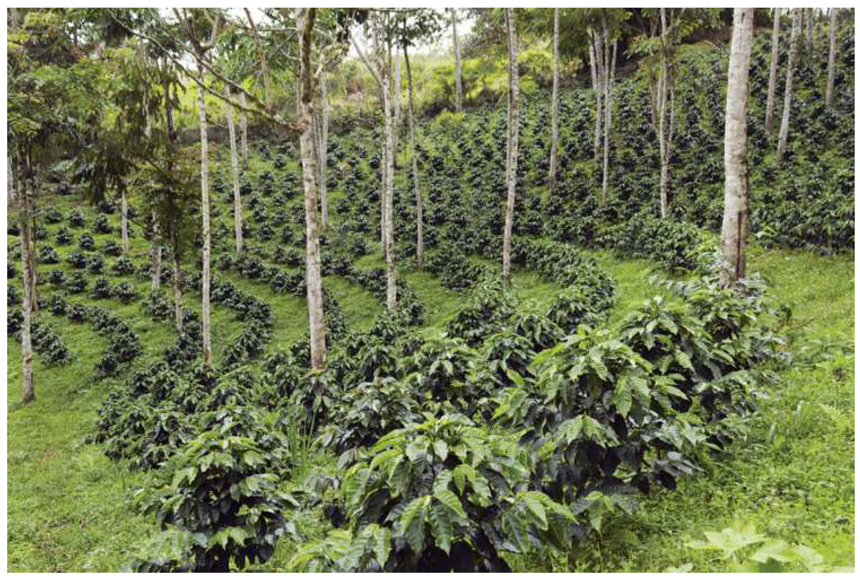 Preprints 148260 g003