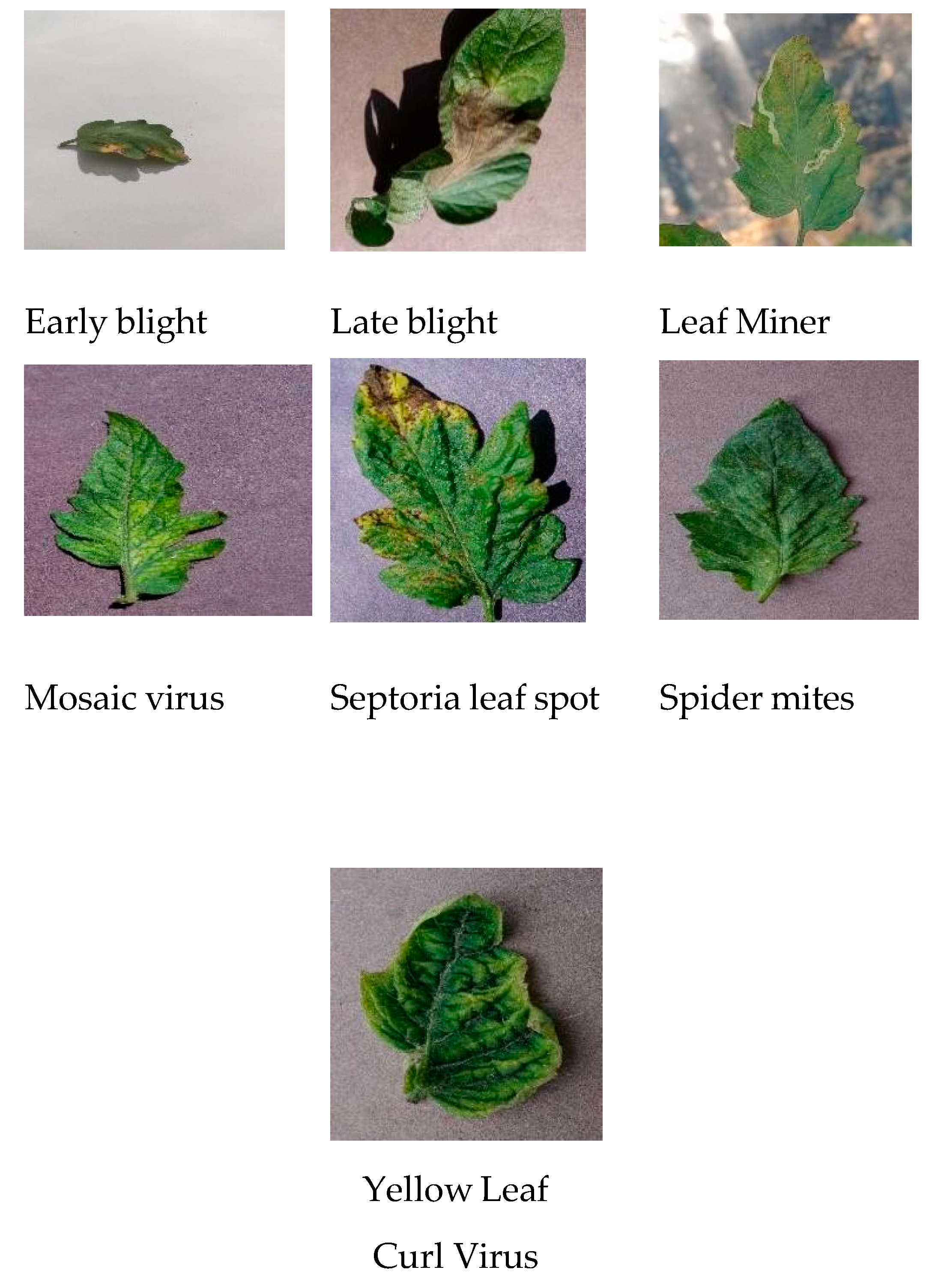 Preprints 161978 g001