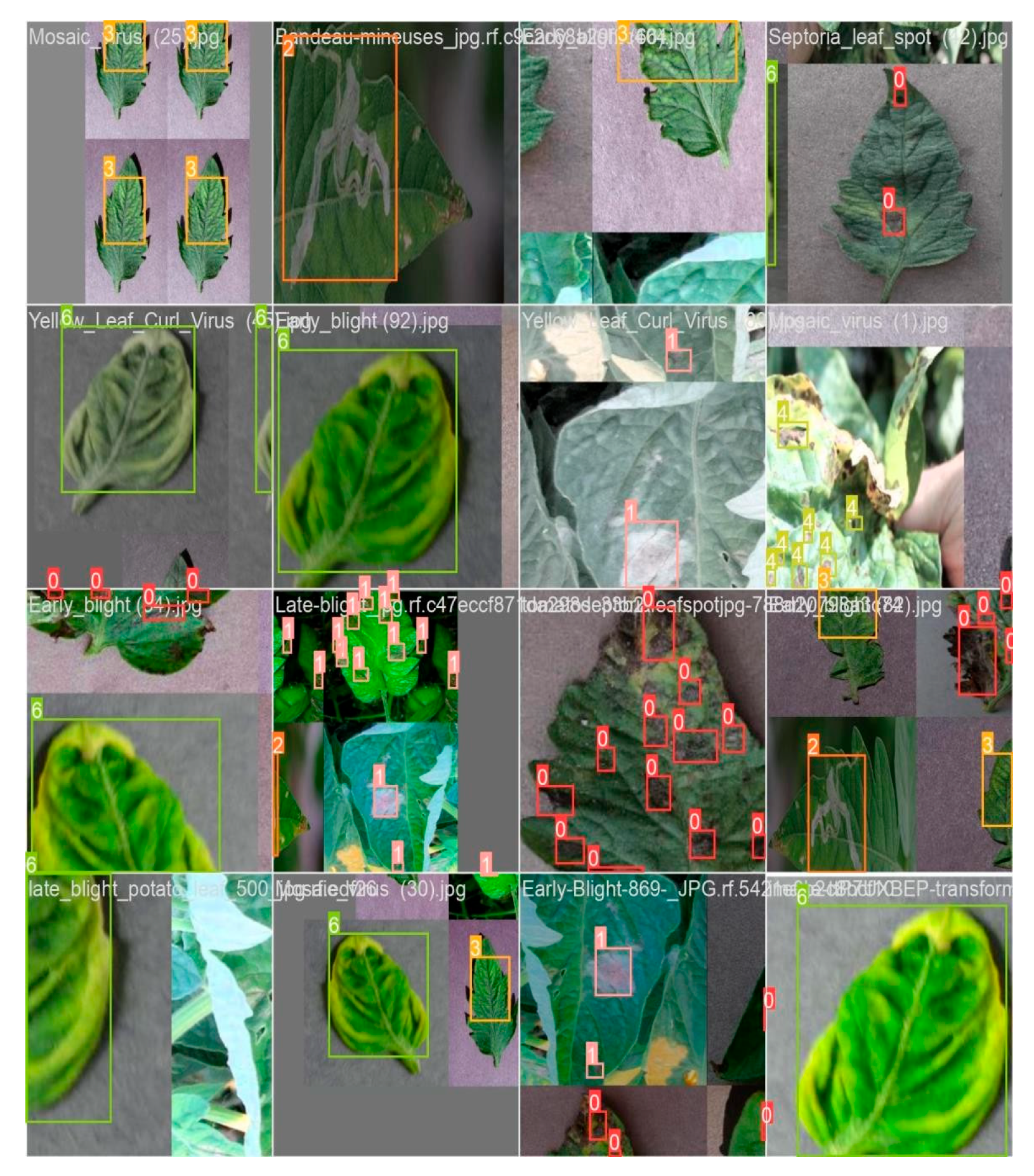 Preprints 161978 g004