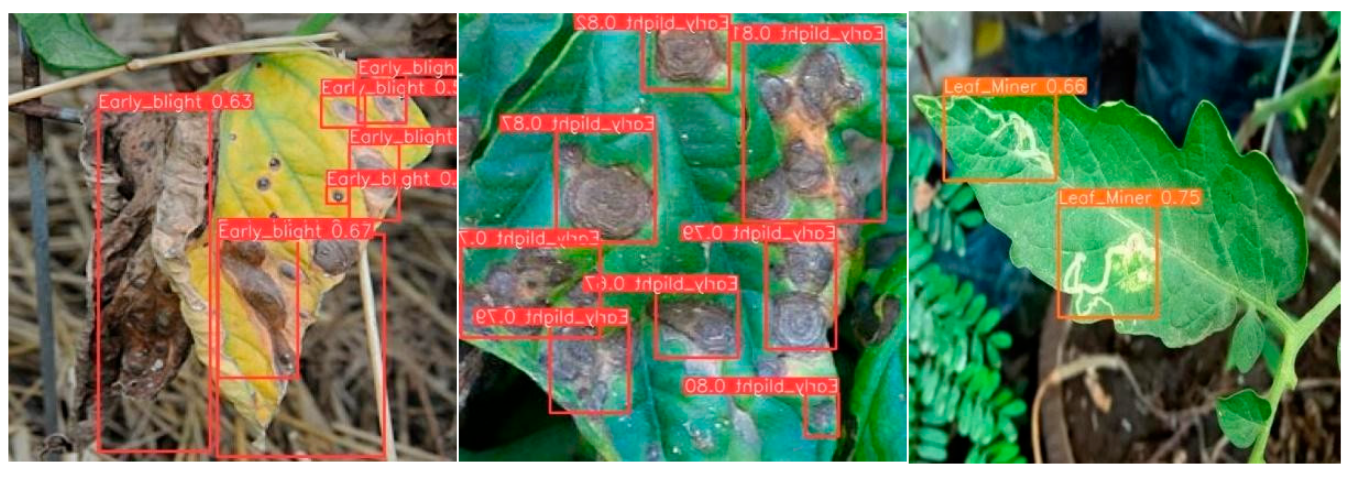 Preprints 161978 g011