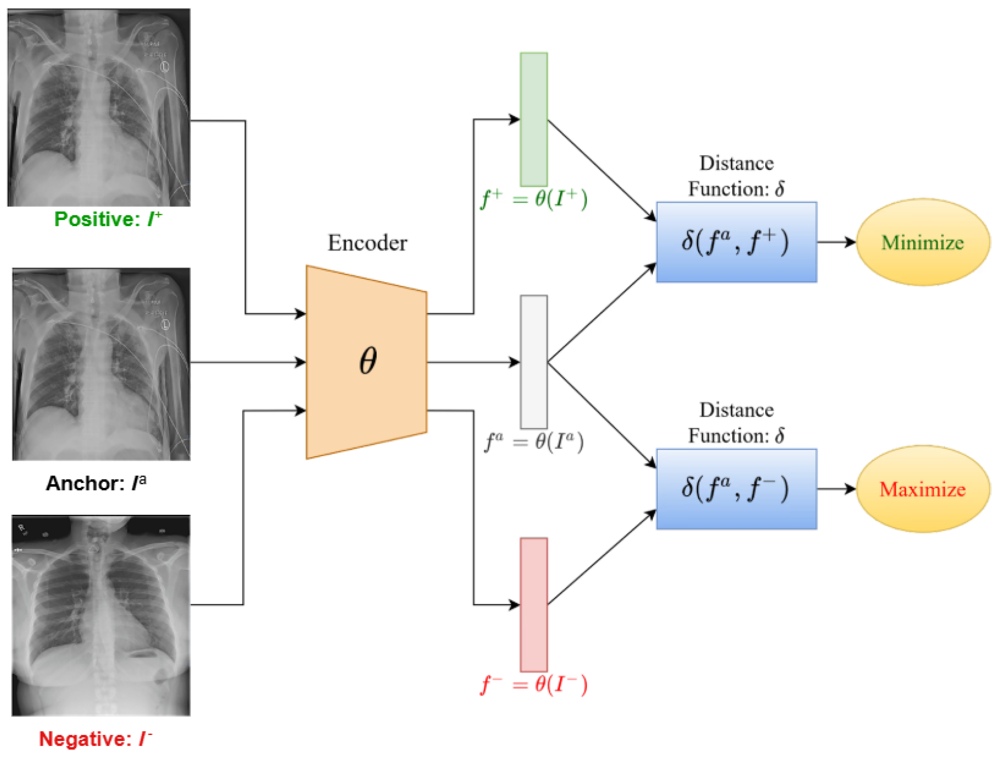 Preprints 191456 g002