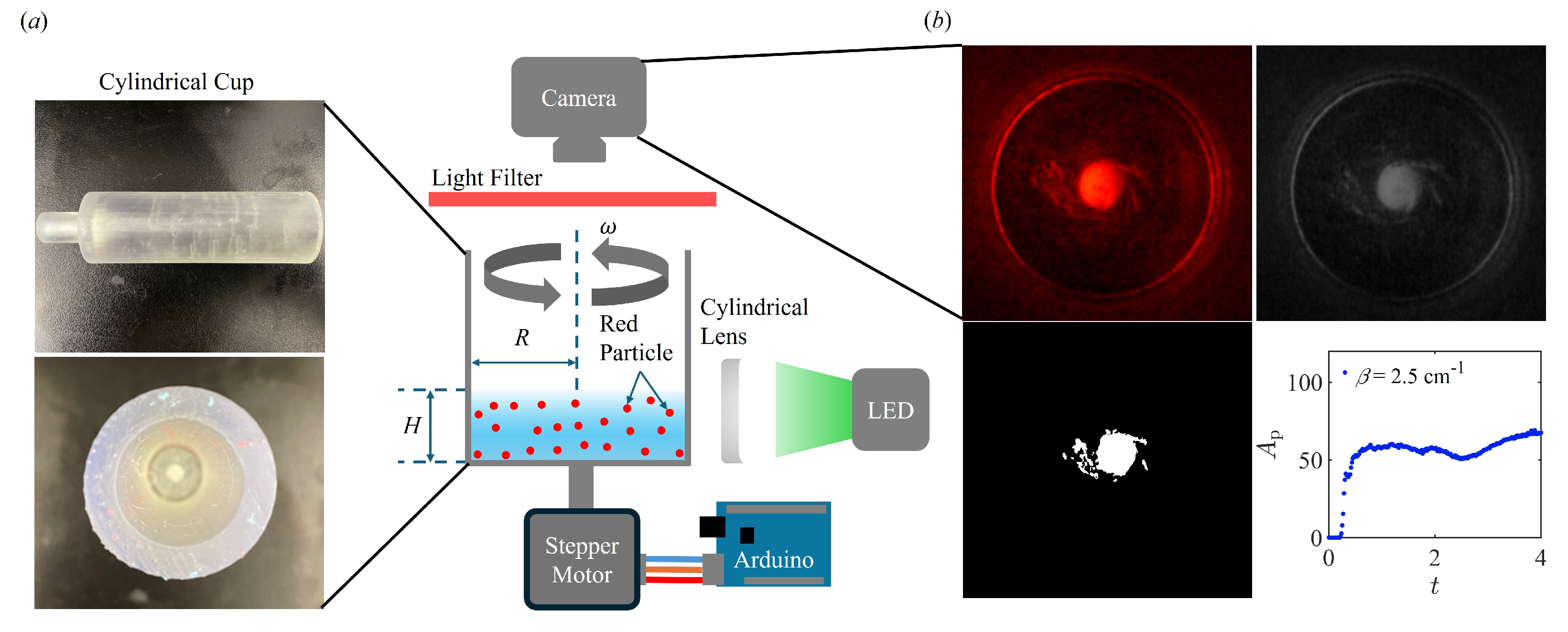 Preprints 116010 g001