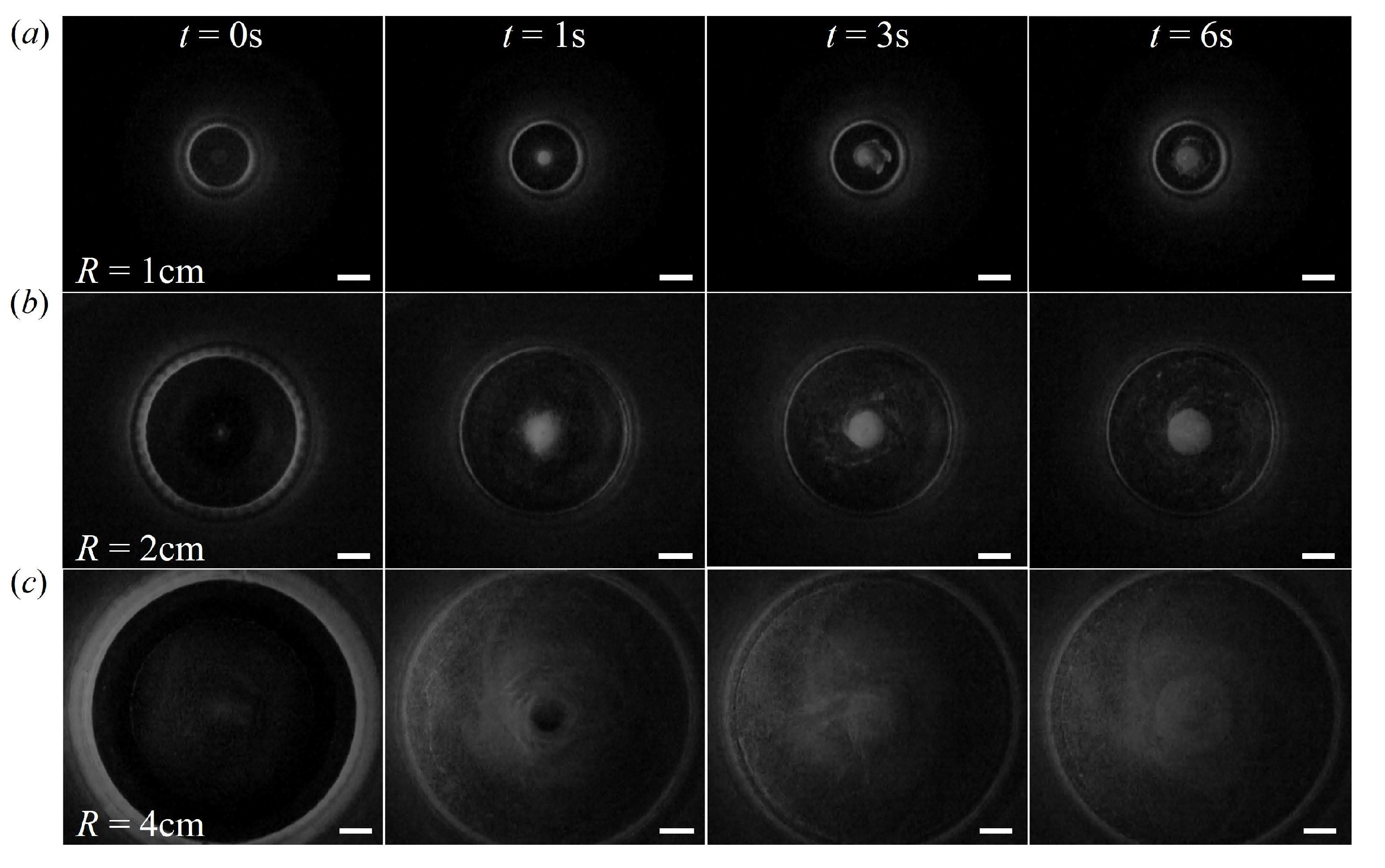 Preprints 116010 g002