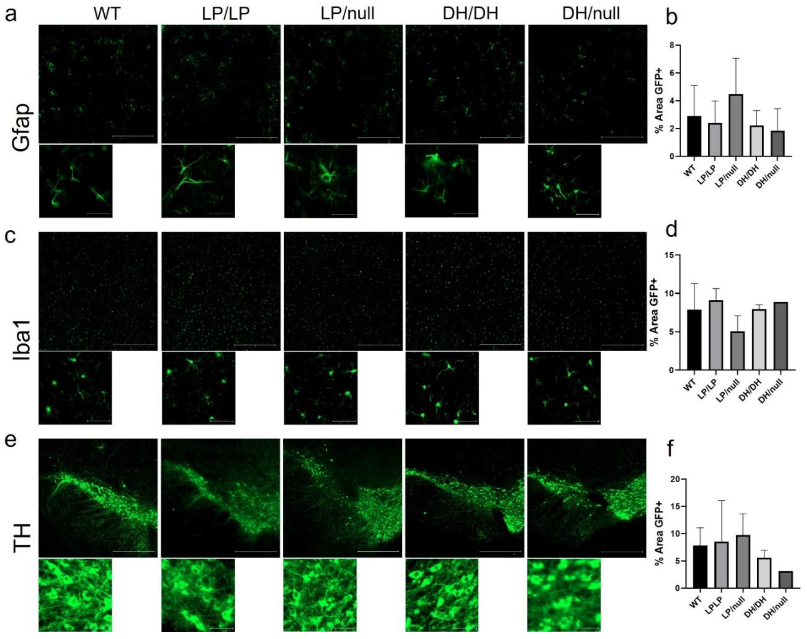 Preprints 95645 g004