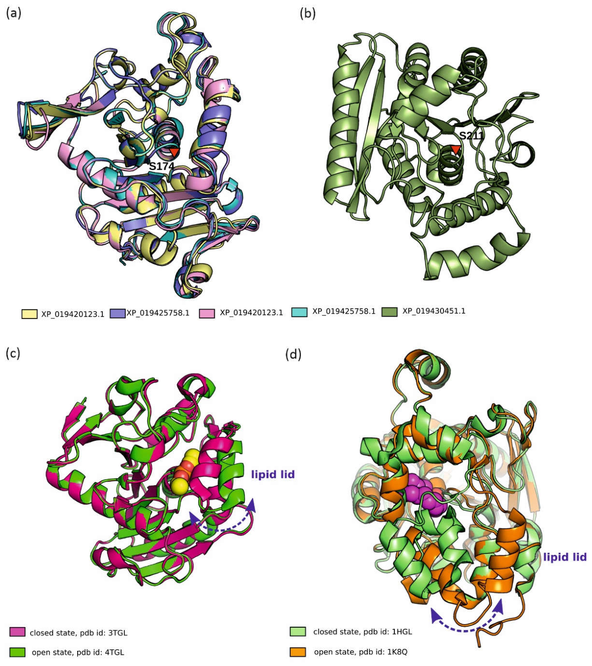 Preprints 235203 g004 Preprints 235203 g004