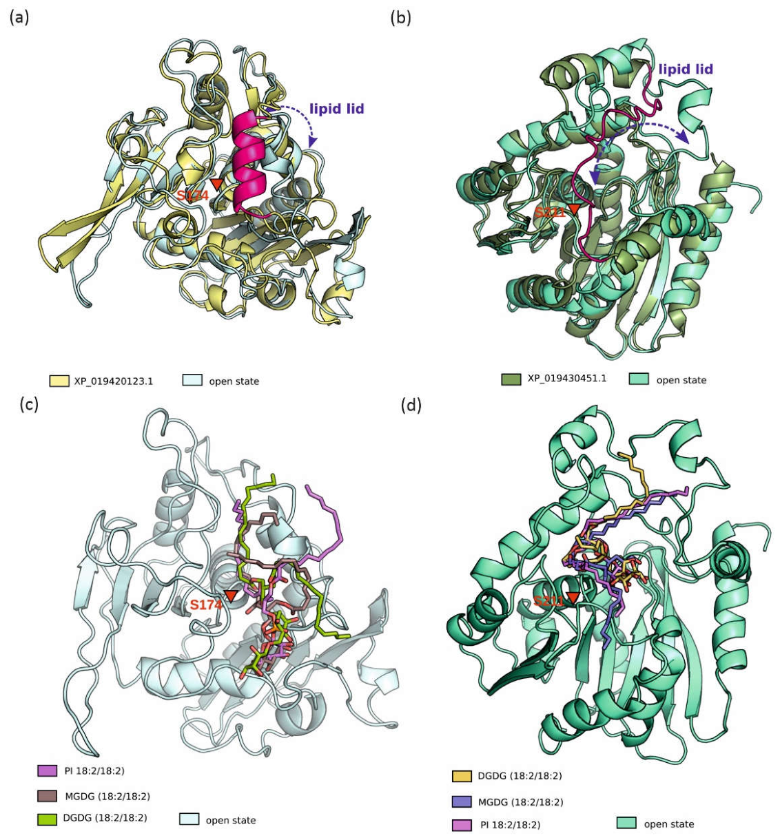 Preprints 235203 g005 Preprints 235203 g005