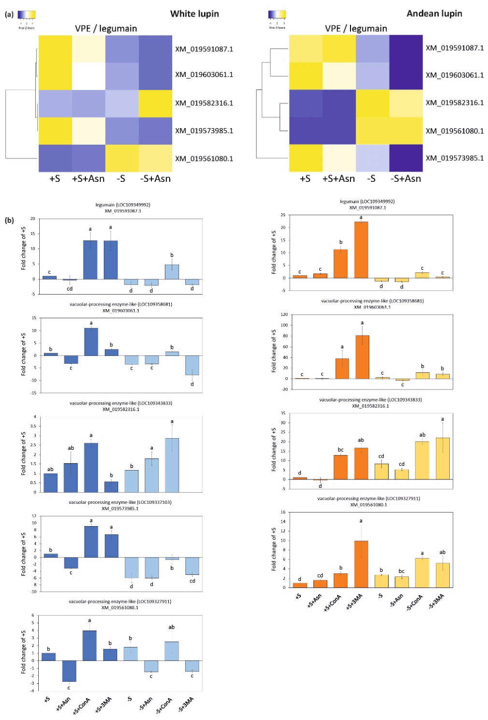 Preprints 235203 g009 Preprints 235203 g009