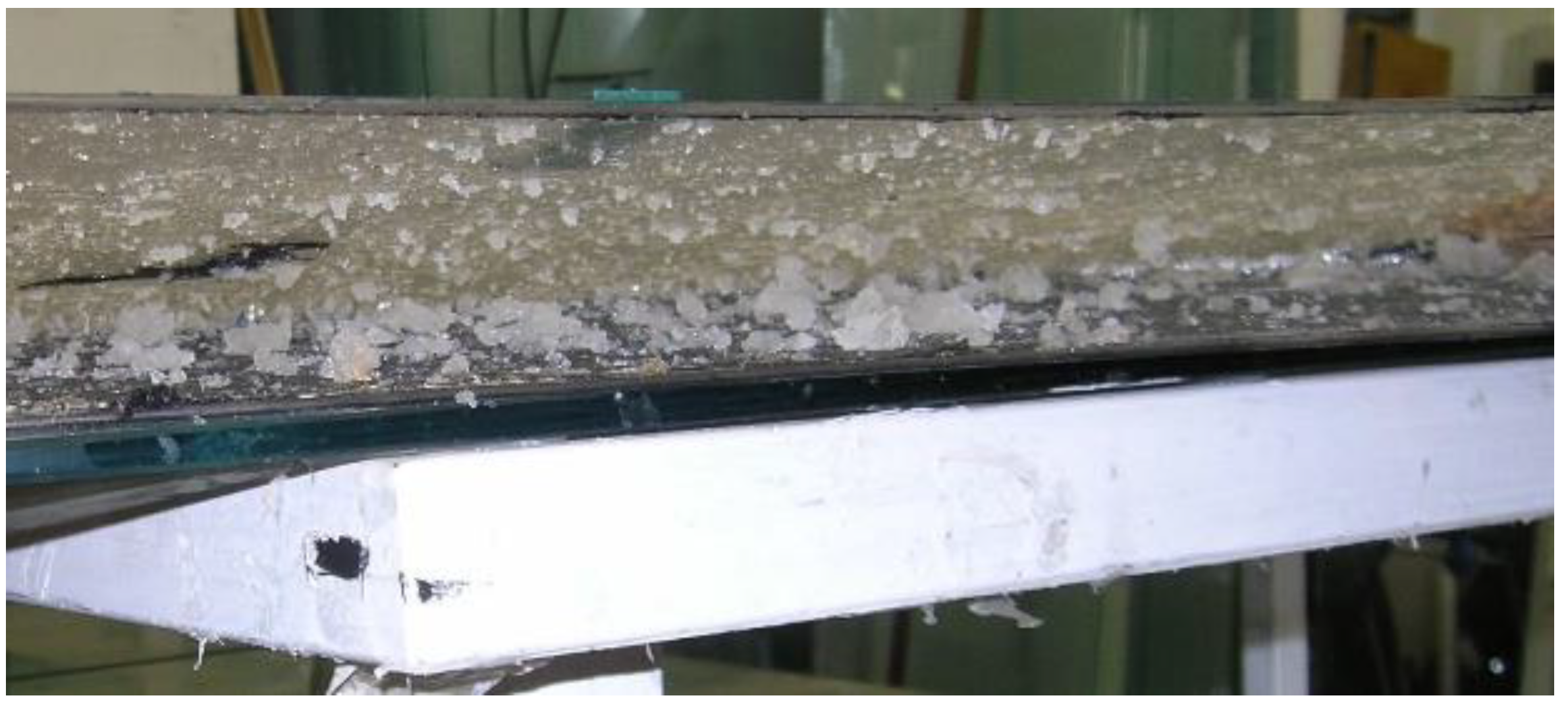 Preprints 167855 g006