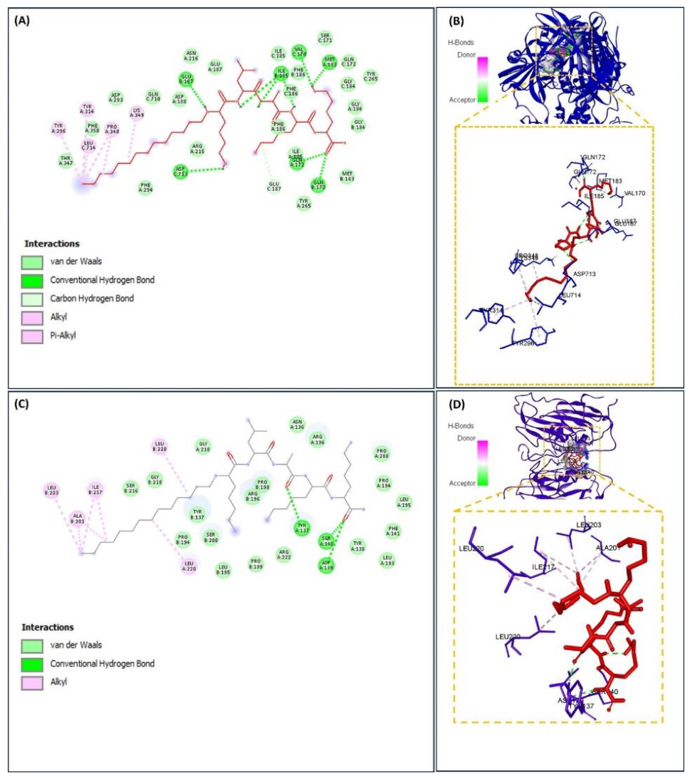 Preprints 230645 g005 Preprints 230645 g005