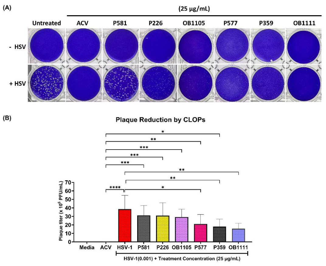 Preprints 230645 g010 Preprints 230645 g010