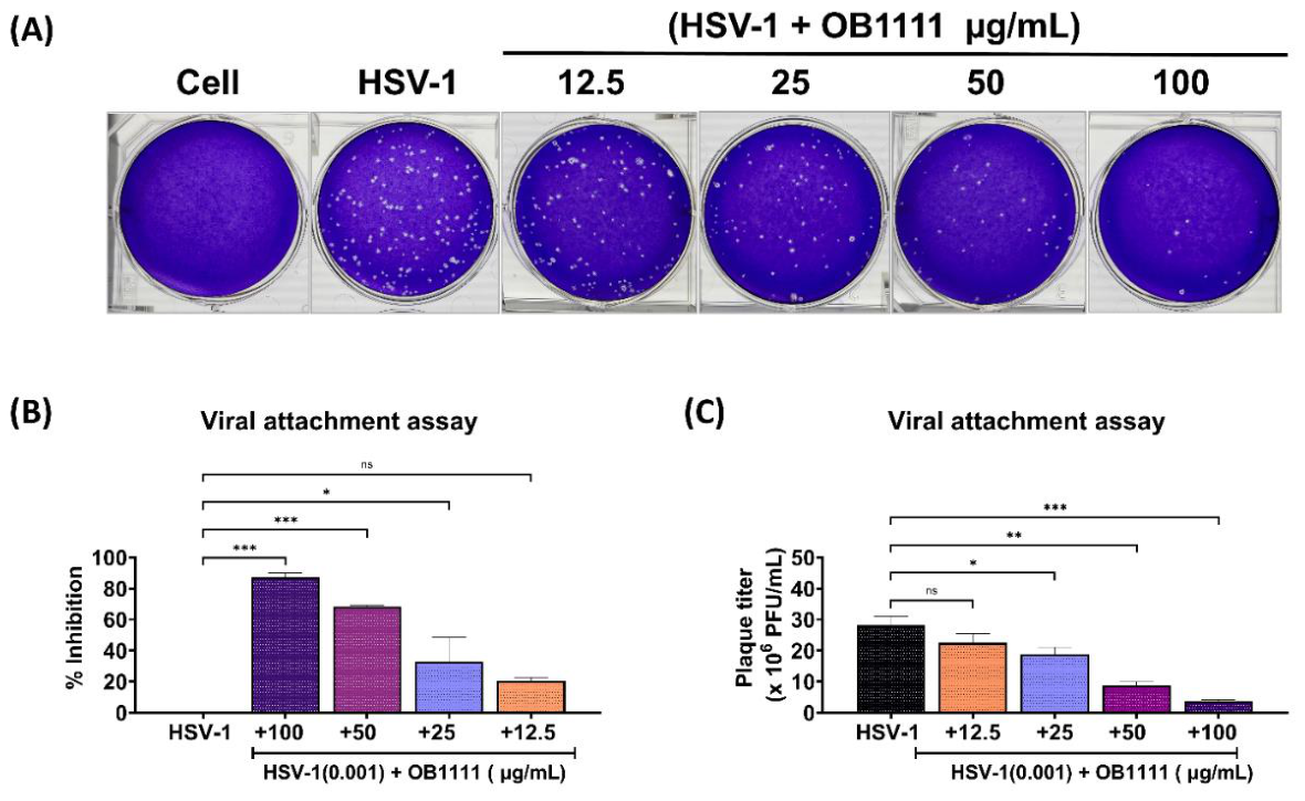 Preprints 230645 g011 Preprints 230645 g011