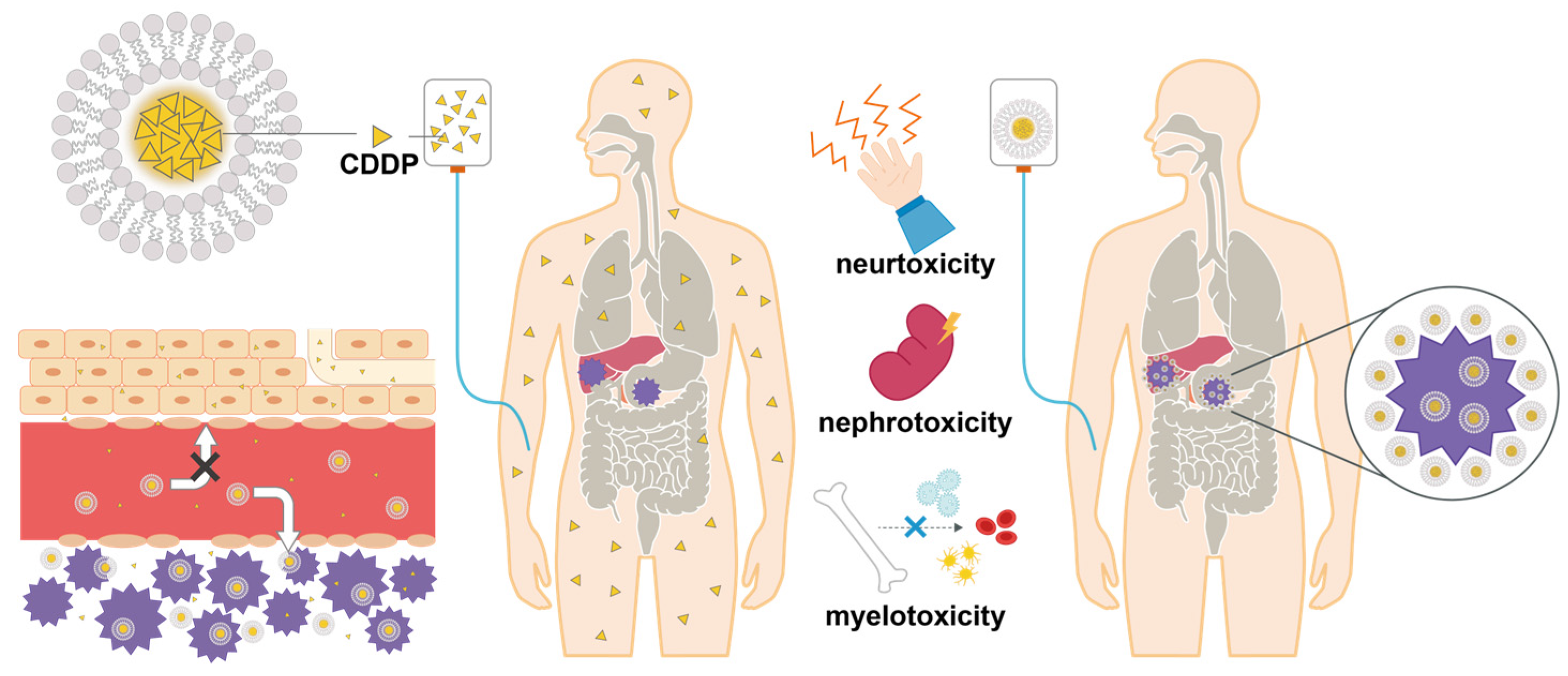 Preprints 71424 g001