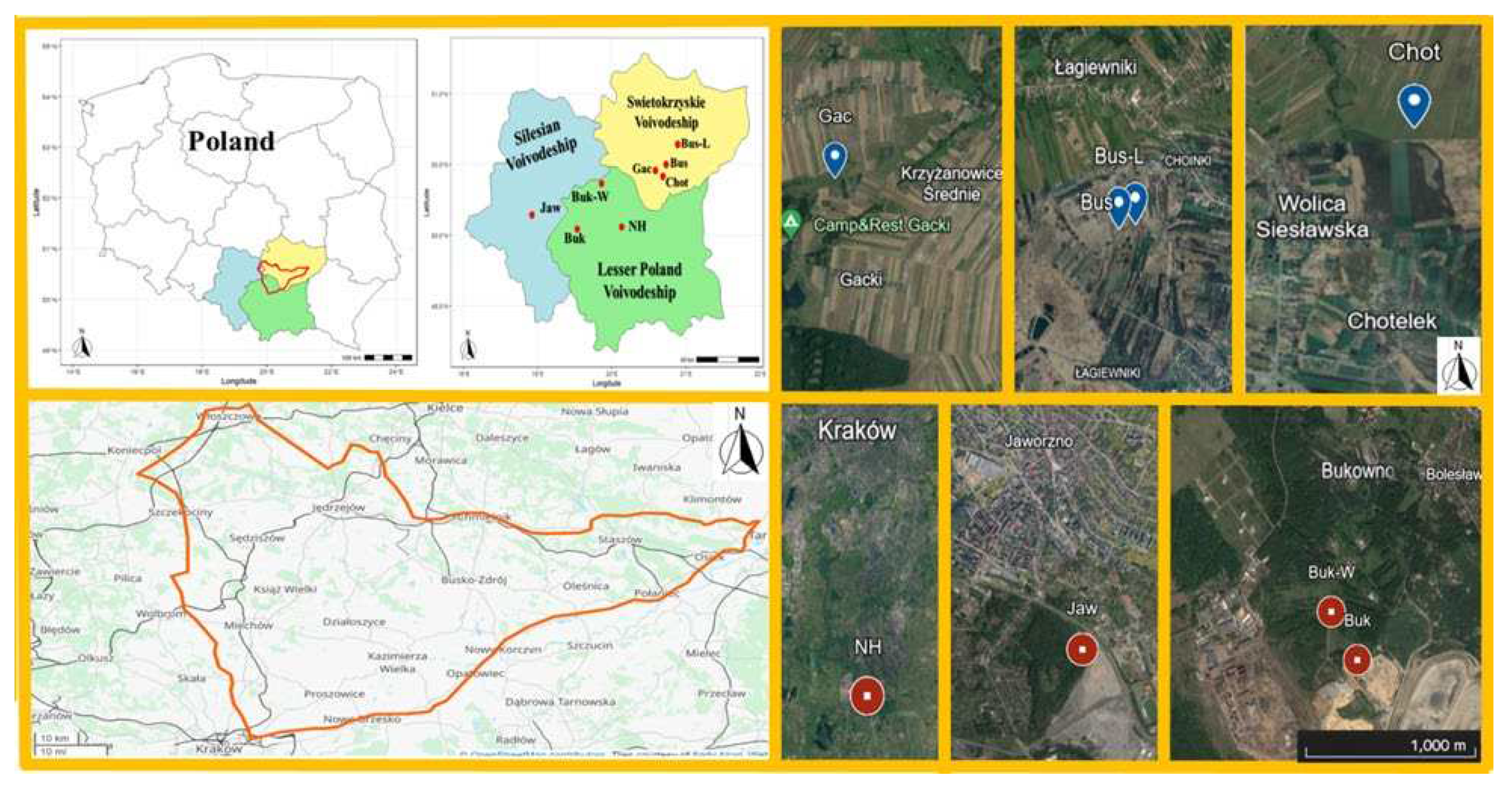 Preprints 98991 g001