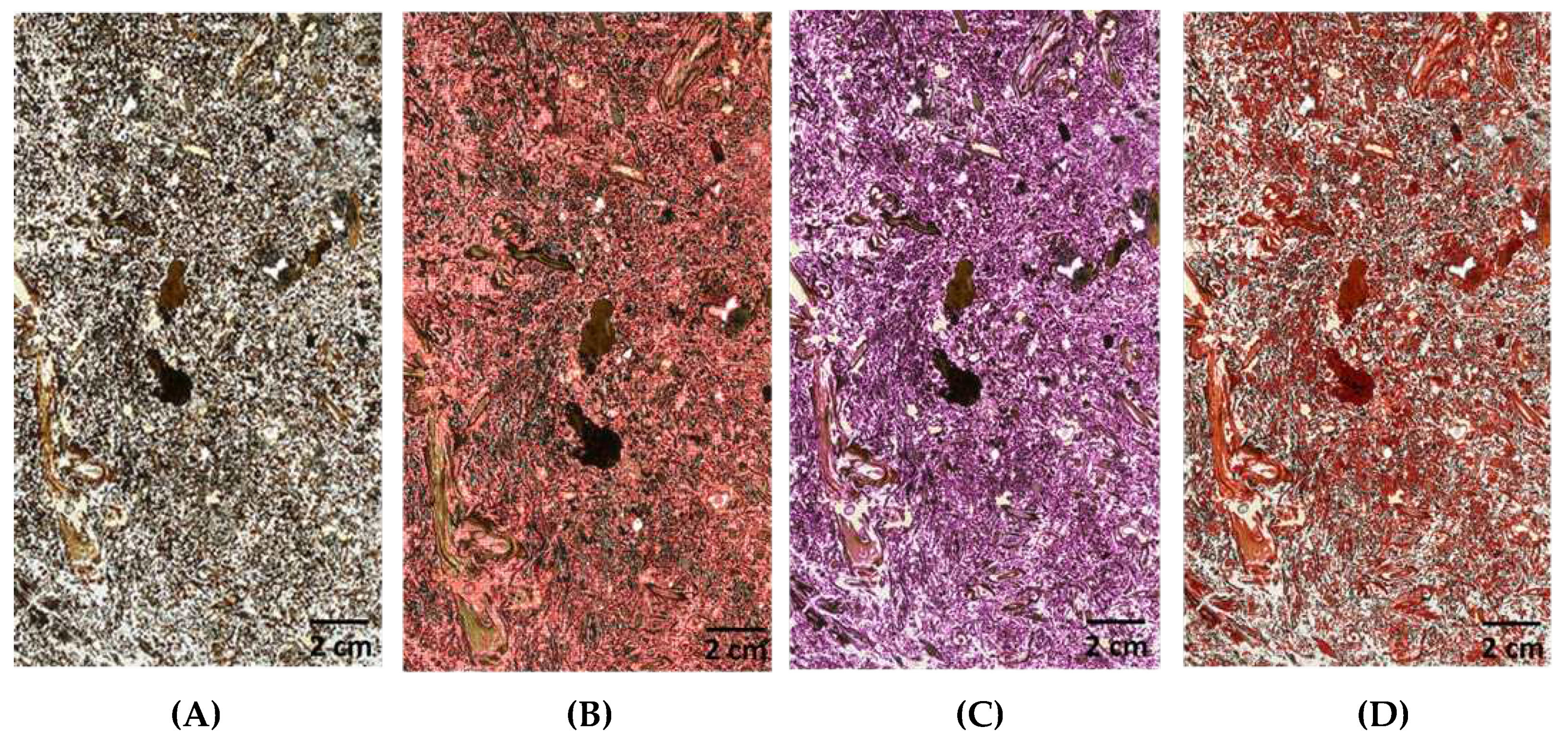 Preprints 98991 g0a1