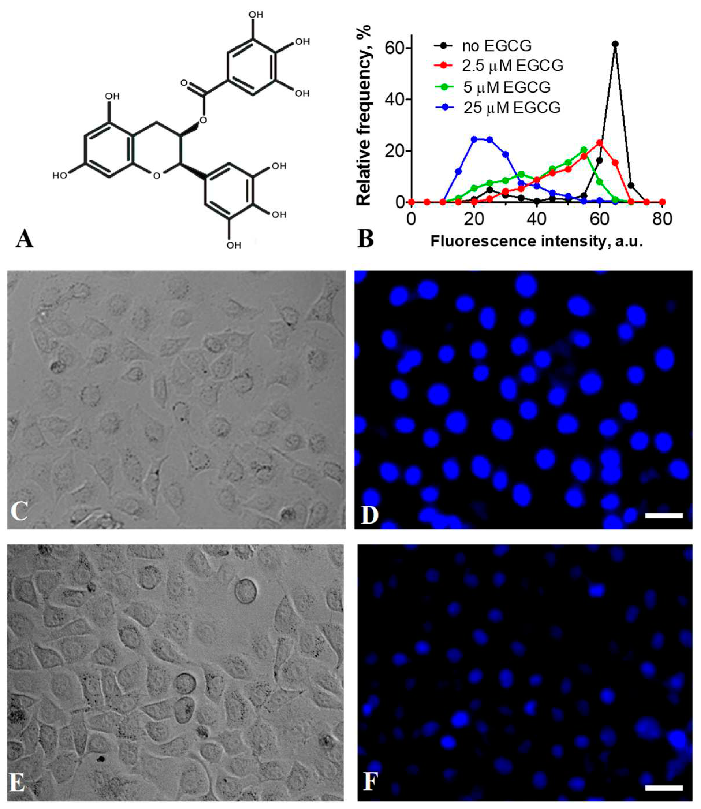 Preprints 83289 g001