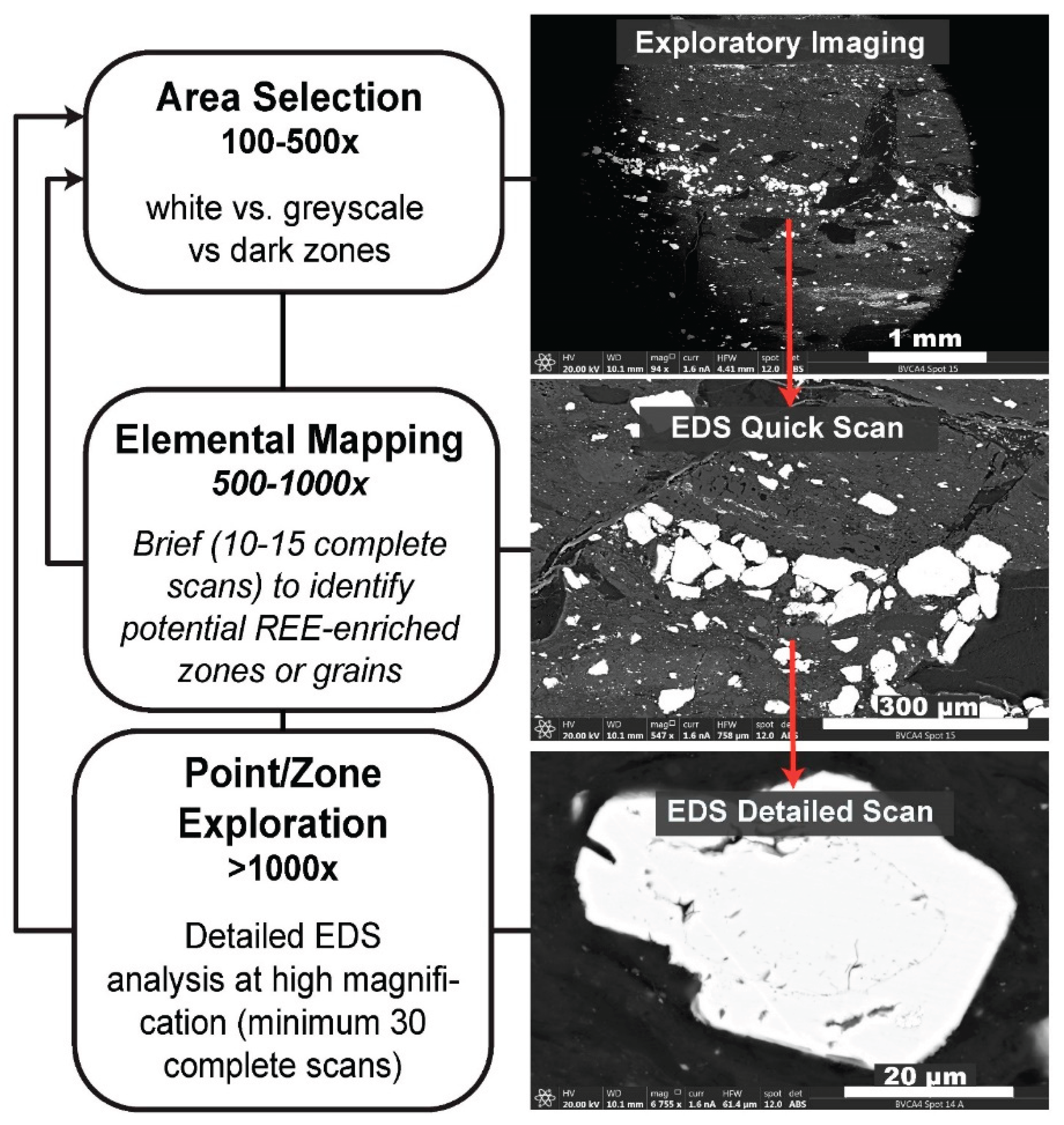 Preprints 162366 g005