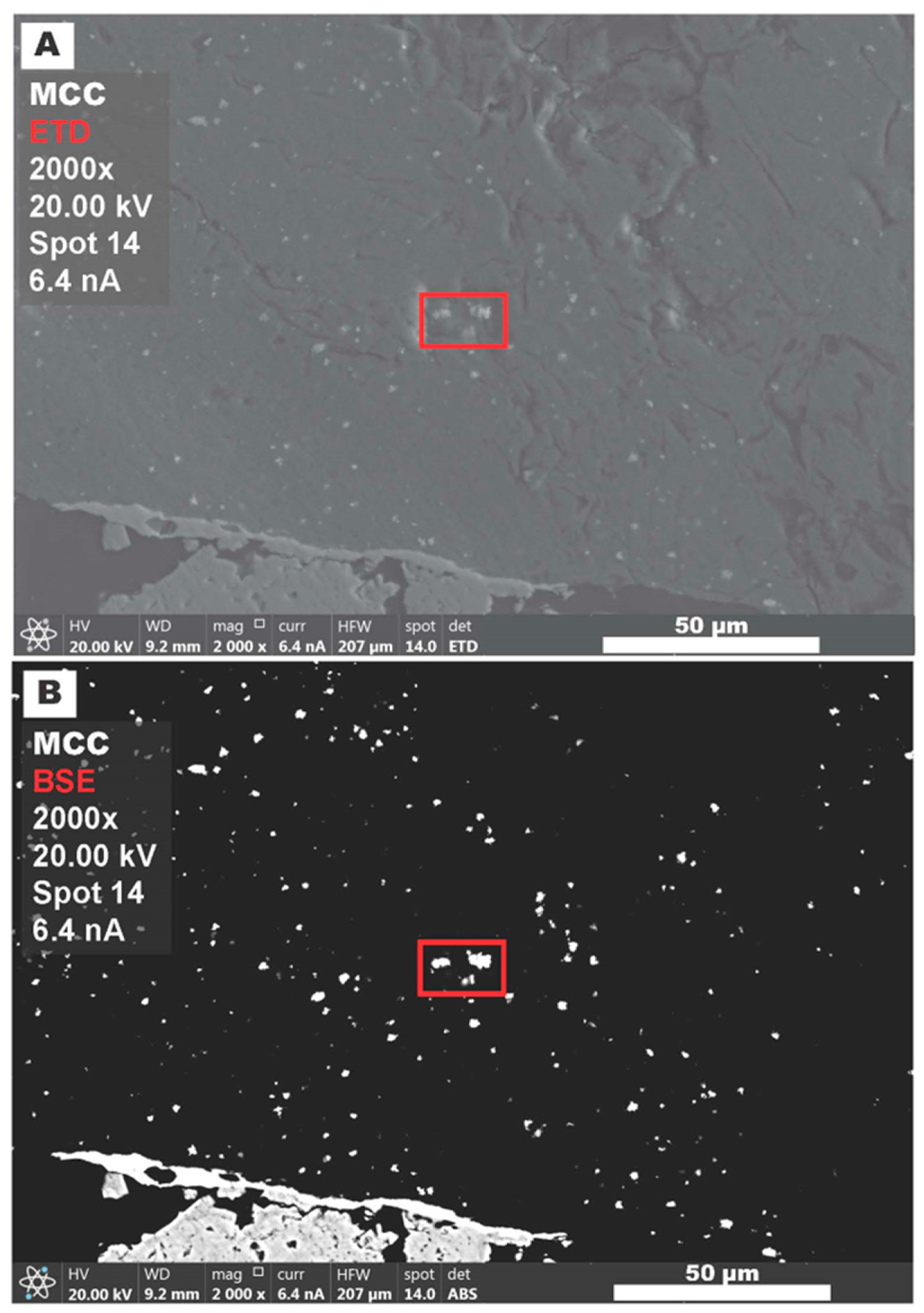 Preprints 162366 g010