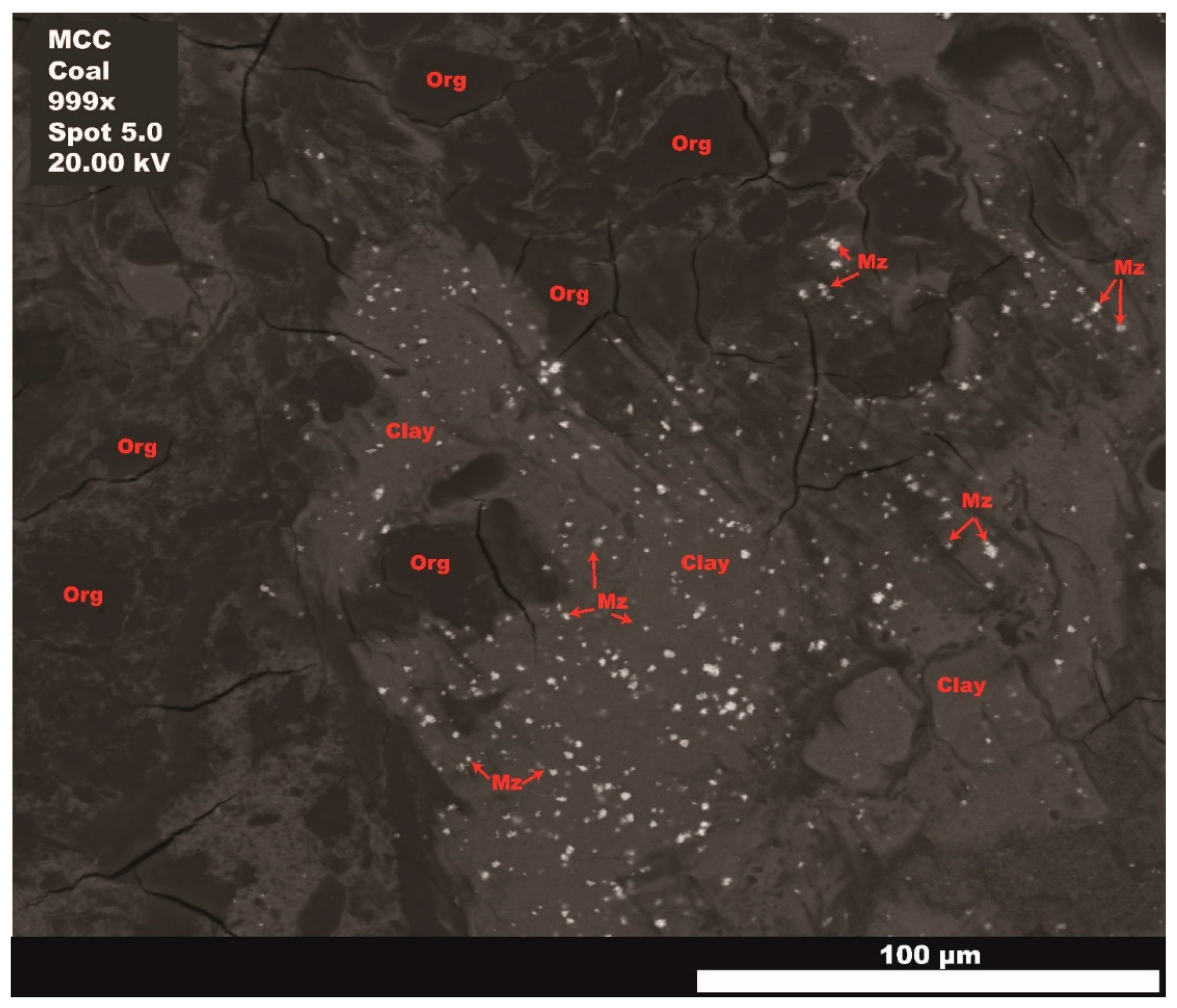 Preprints 162366 g011