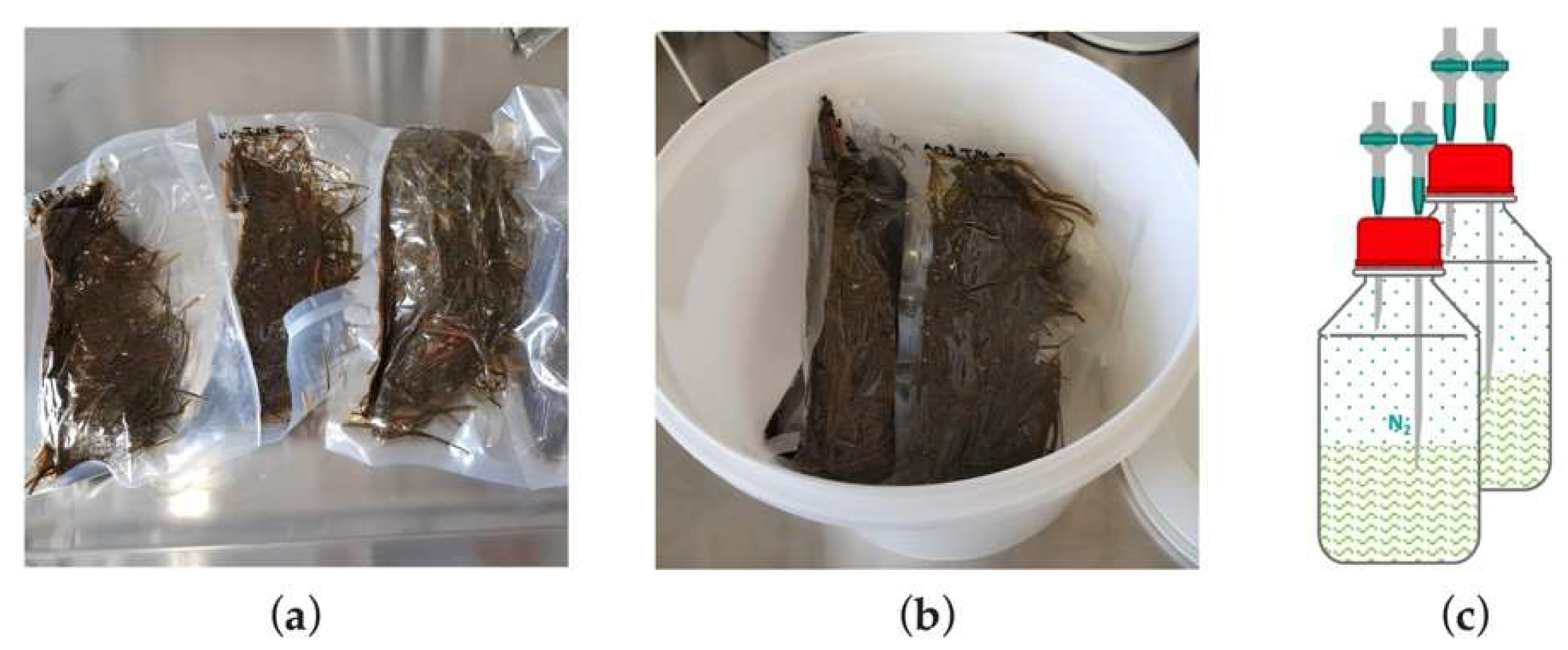 Preprints 151868 g001