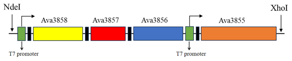 Preprints 210466 g002 Preprints 210466 g002