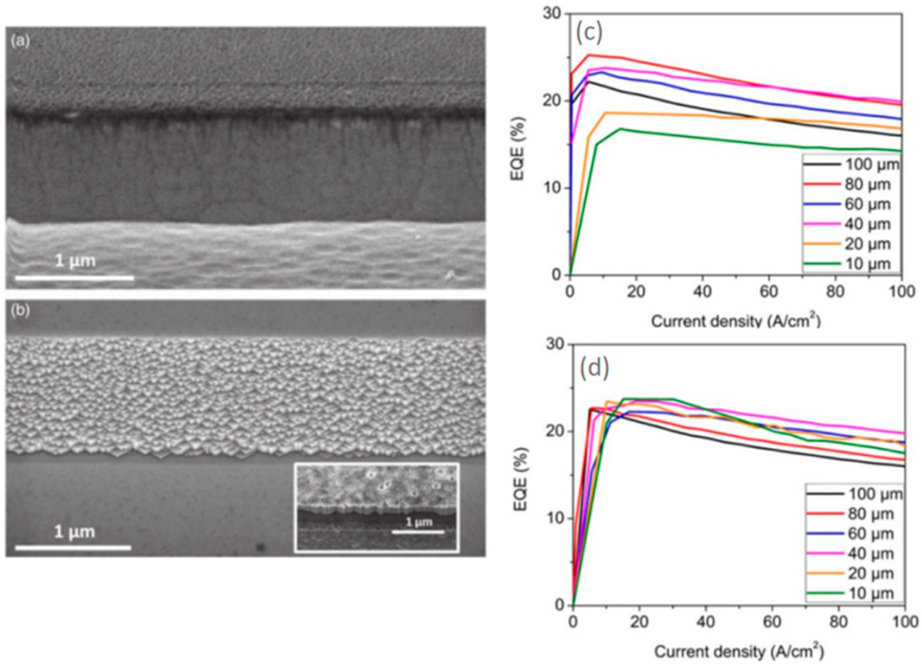 Preprints 71273 g006