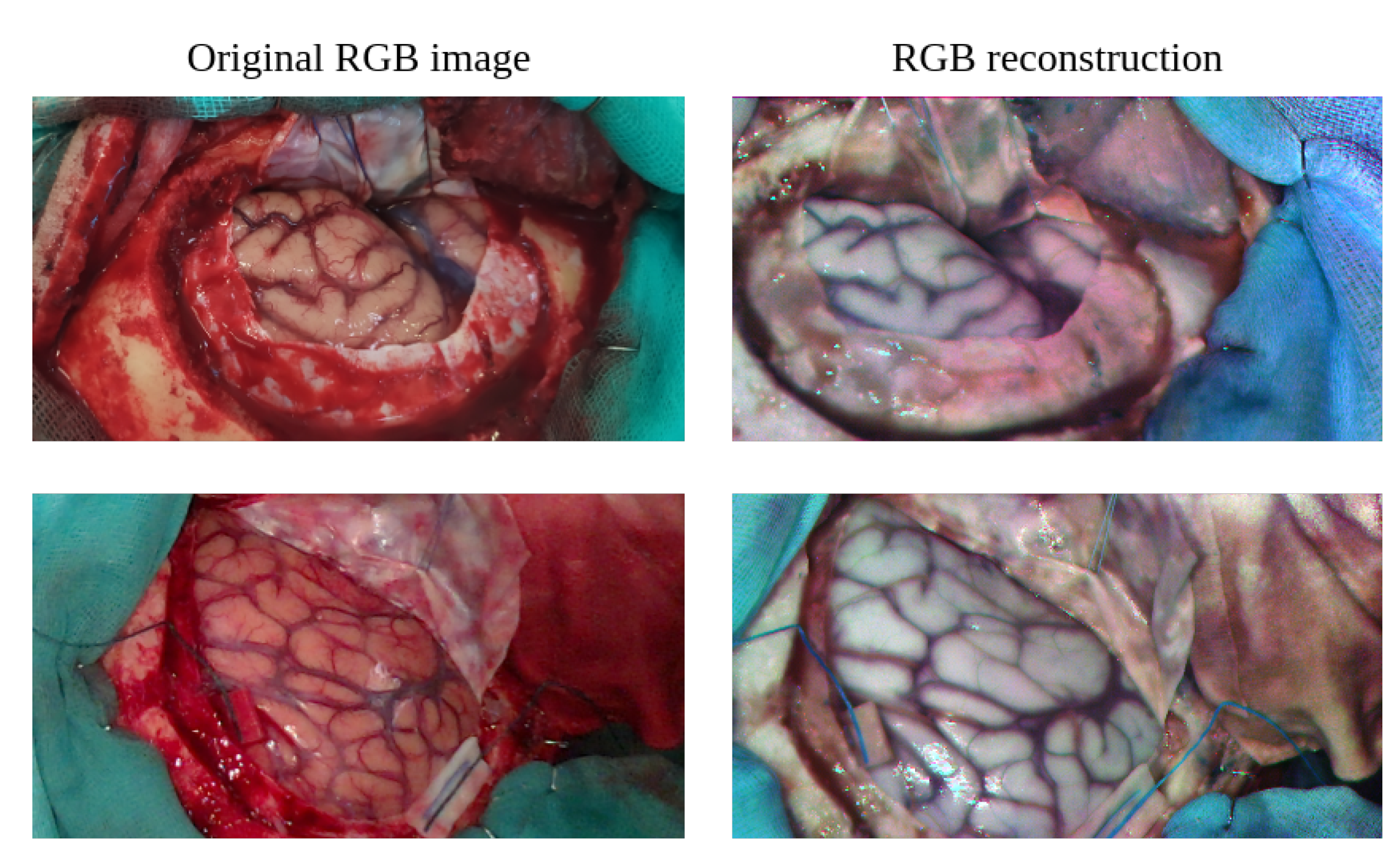 Preprints 197914 g003