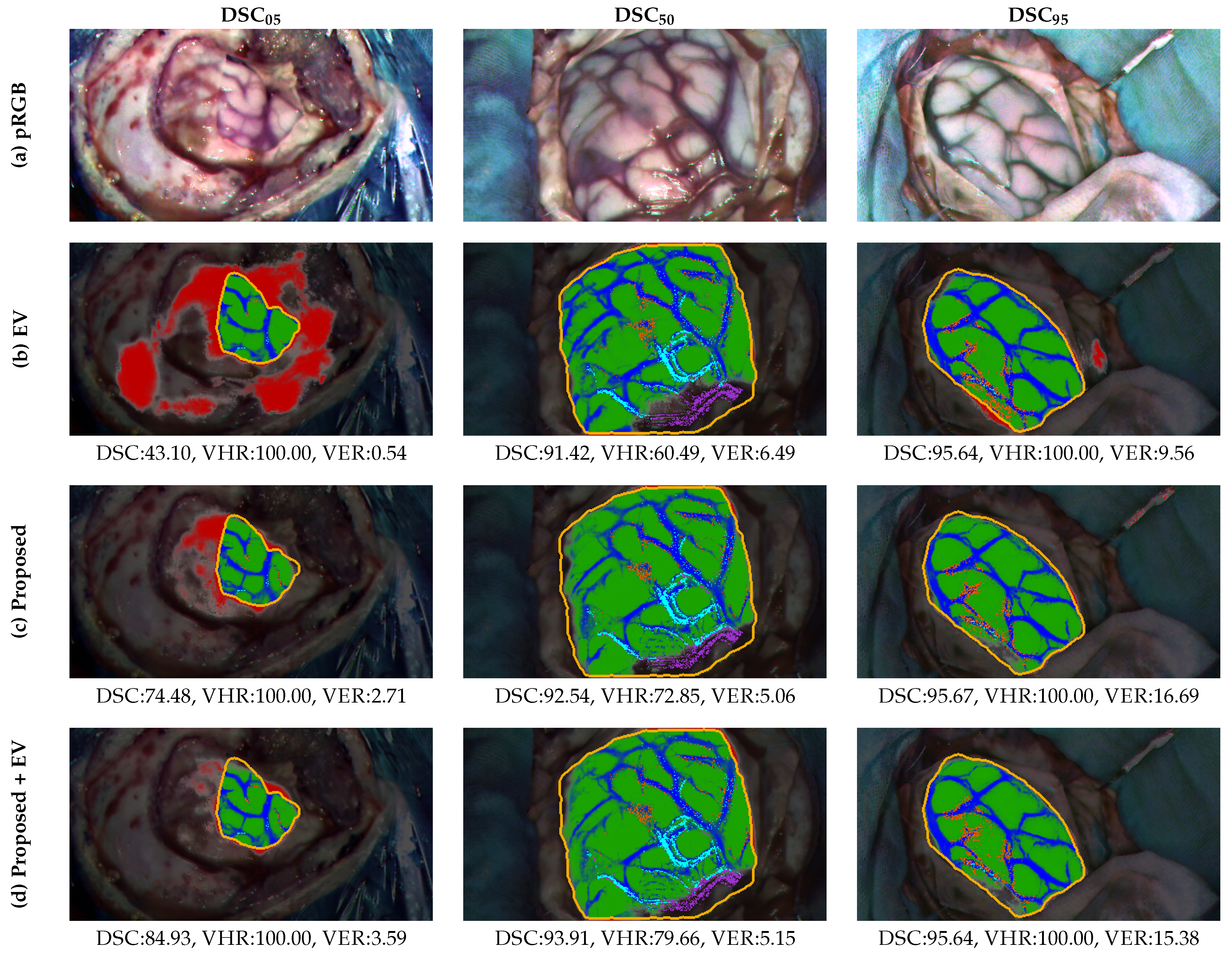 Preprints 197914 g009